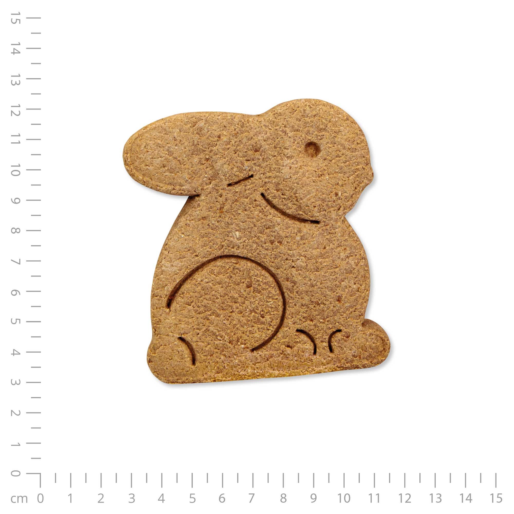 Hundekuchen in Hasenform, neben einem Lineal. Hellbraun, mit eingeprägten Details. Auf weißem Hintergrund.