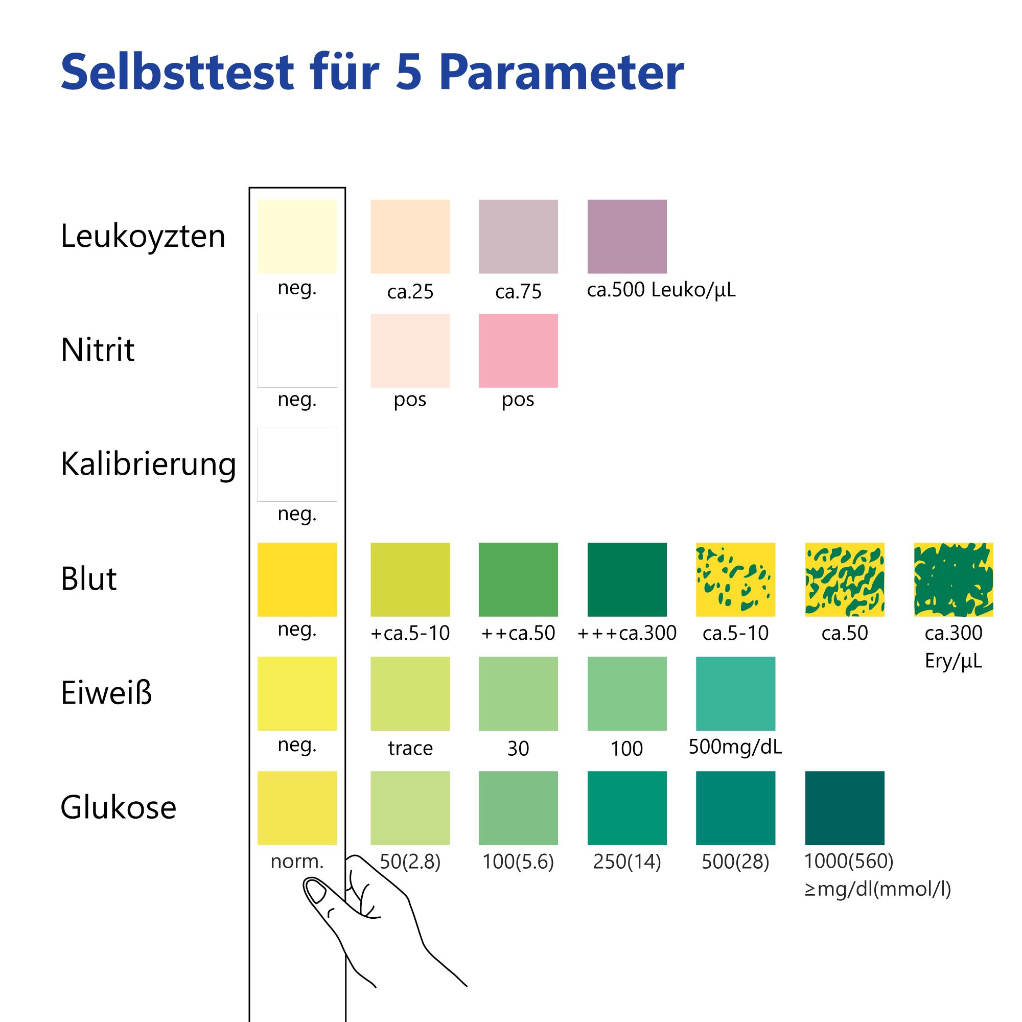 LuxmedIQ Urin Teststreifen für 5 Parameter - Blasen- & Harnwegsentzündungen