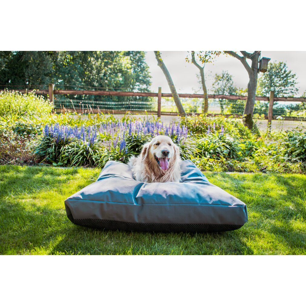 Let's Sleep Cushy Cloud Outdoor Hundebett xl Anthrazit