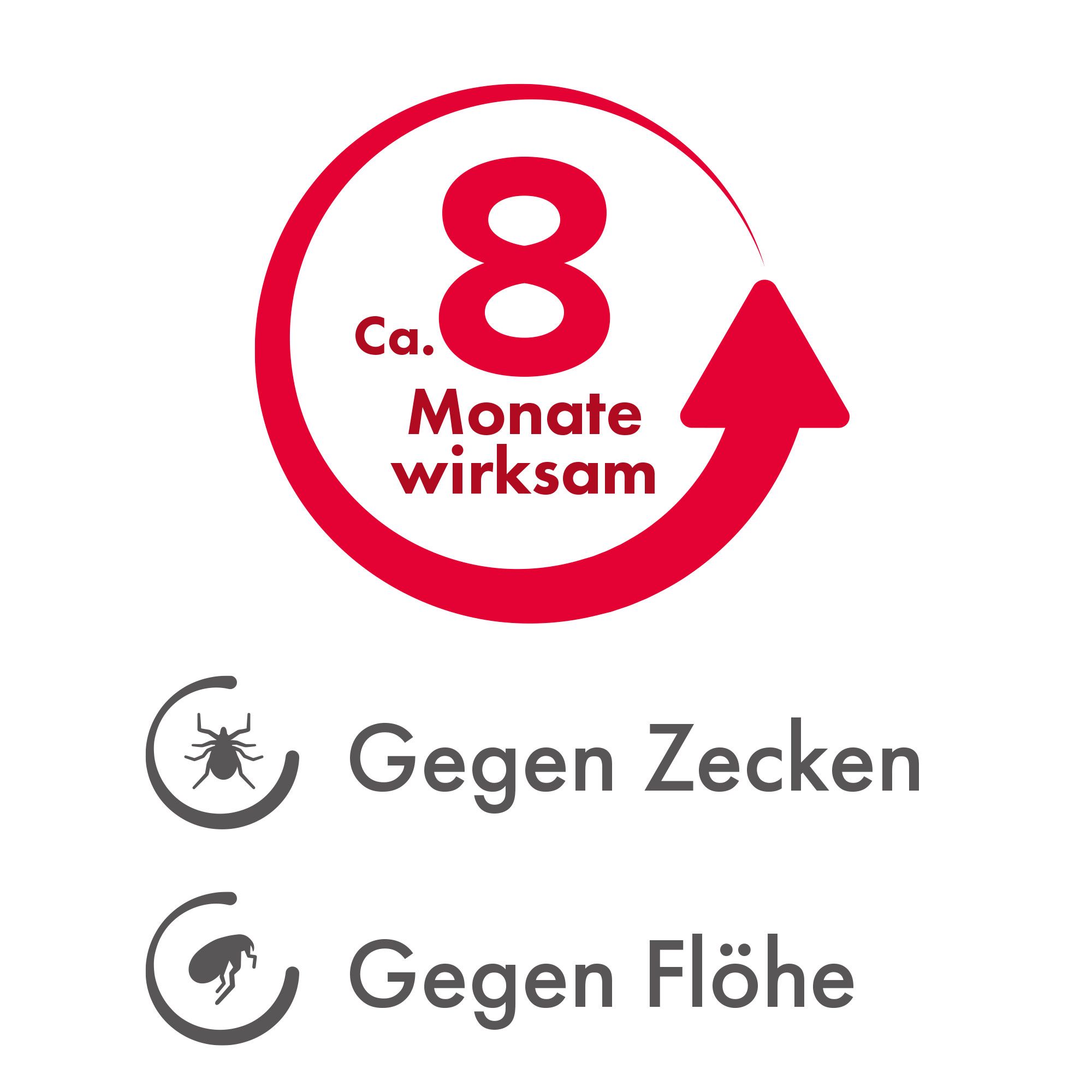 Beaphar Zecken-Flohband mit Langzeitschutz für Hunde extra lang