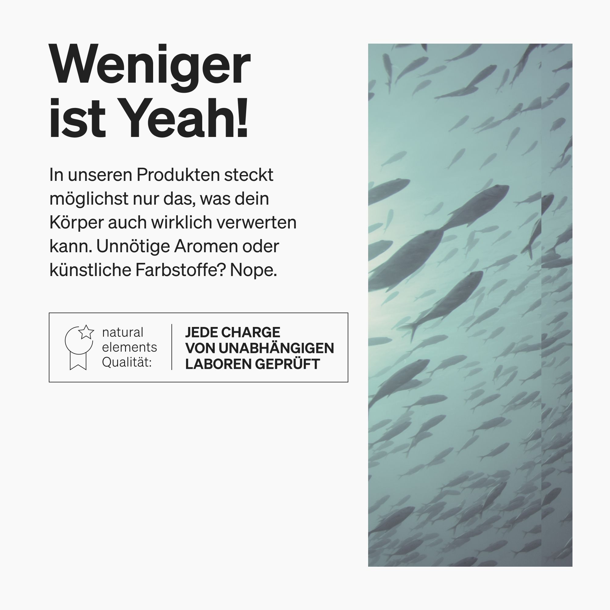 Bild von Fischen im Wasser. Text: Jede Charge von unabhängigen Laboren geprüft. Marke: natural elements.