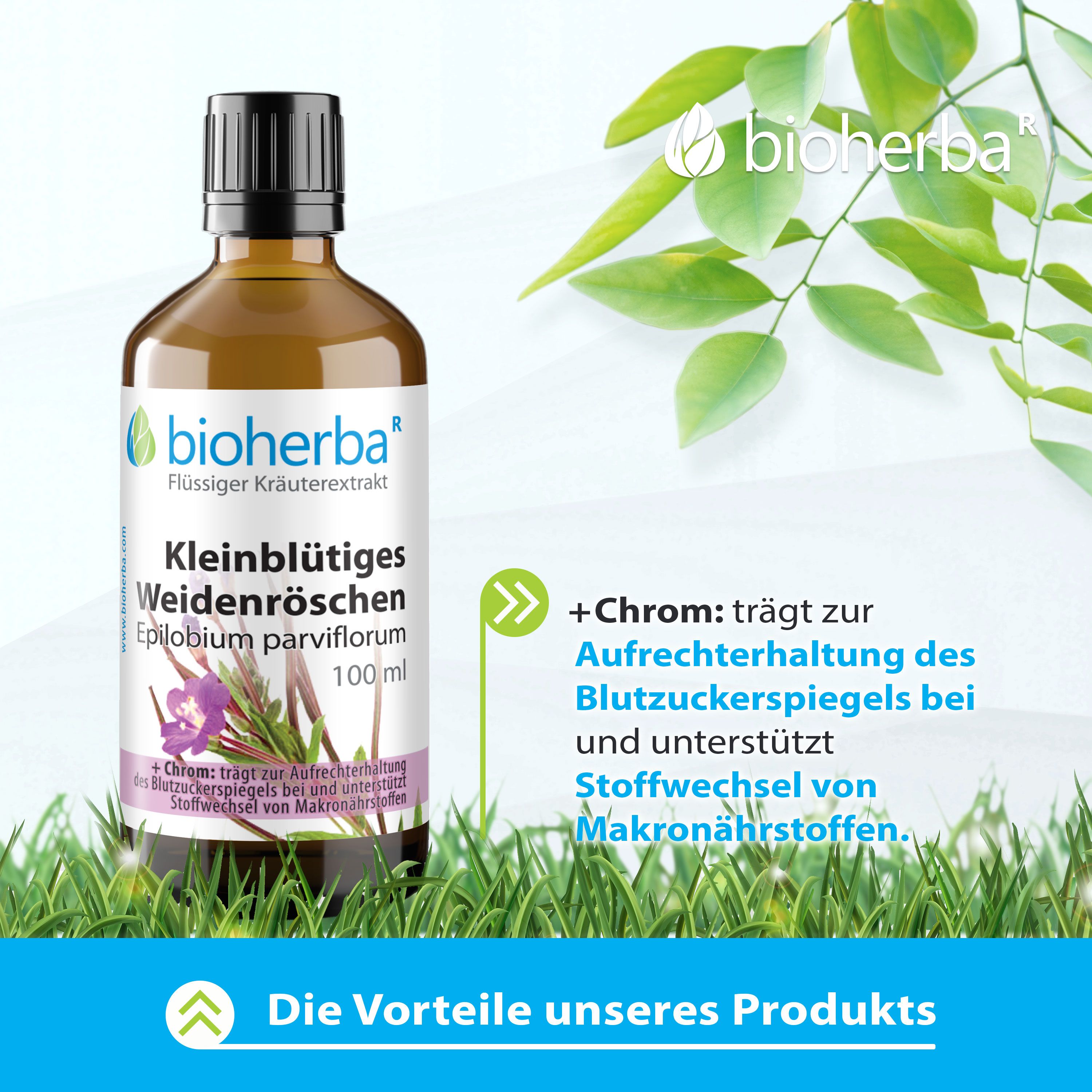 Braune Glasflasche mit schwarzem Deckel. Enthält Bioherba, Kleinblütiges Weidenröschen, Epilobium parviflorum, 100 ml. Auf Gras platziert.