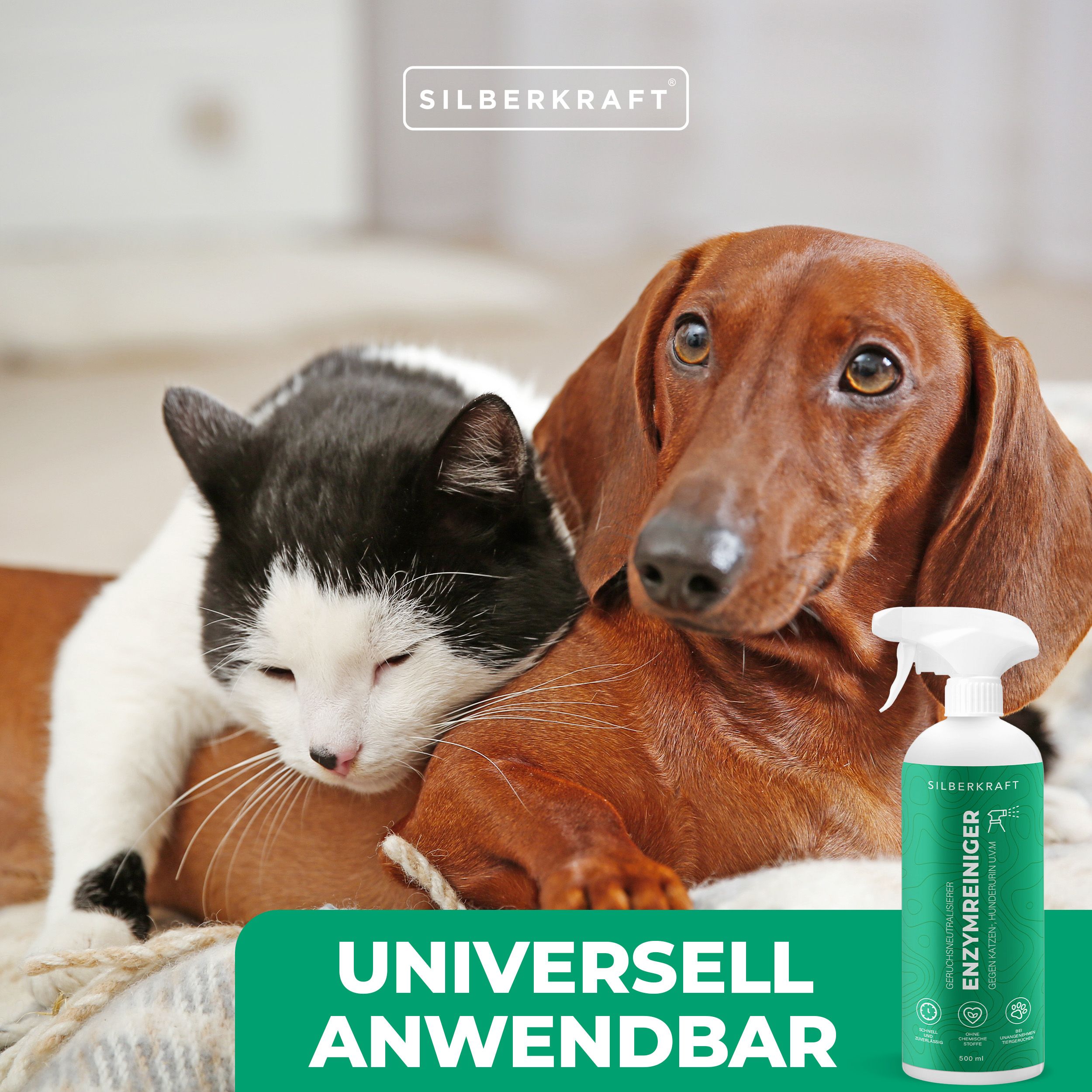 SILBERKRAFT Enzymreiniger Hund & Katze