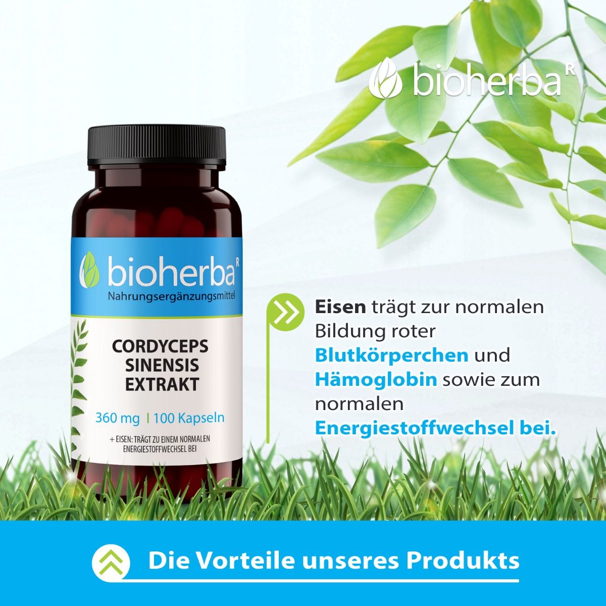 Braune Flasche Bioherba Cordyceps Sinensis Extrakt Kapseln. 360 mg, 100 Kapseln. Text über die Vorteile des Produkts und die Wirkung von Eisen.