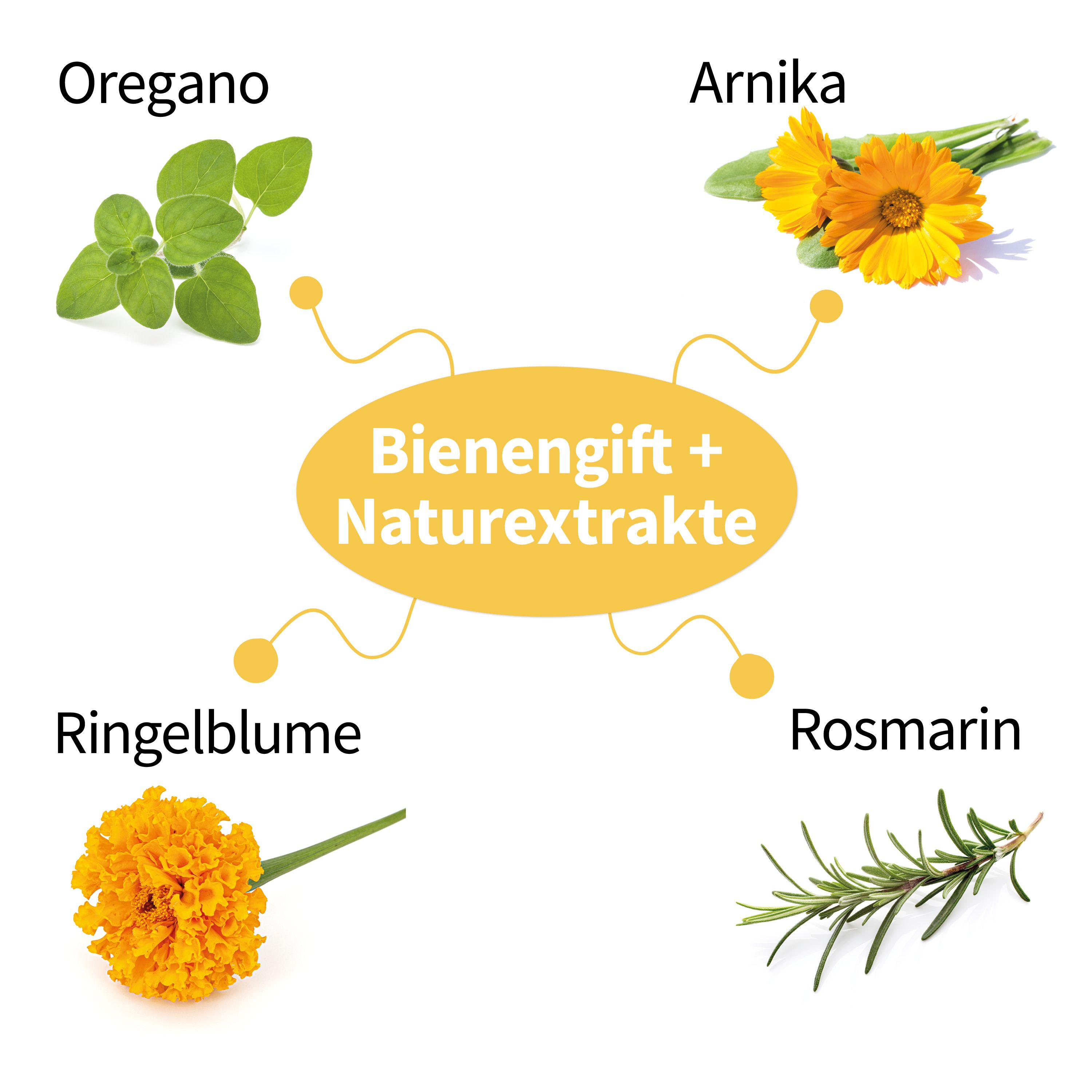 Abbildung von Oregano, Arnika, Ringelblume, Rosmarin. Text: Bienengift + Naturextrakte.