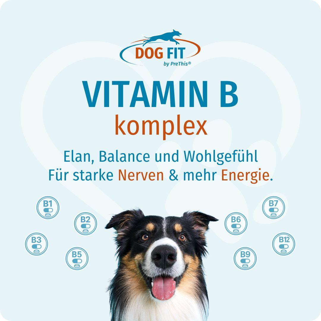 DOG FIT Vitamin B Komplex. Hund mit Zunge. B-Vitamine als Kapseln. Text: Elan, Balance und Wohlgefühl. Für Nerven & Energie.