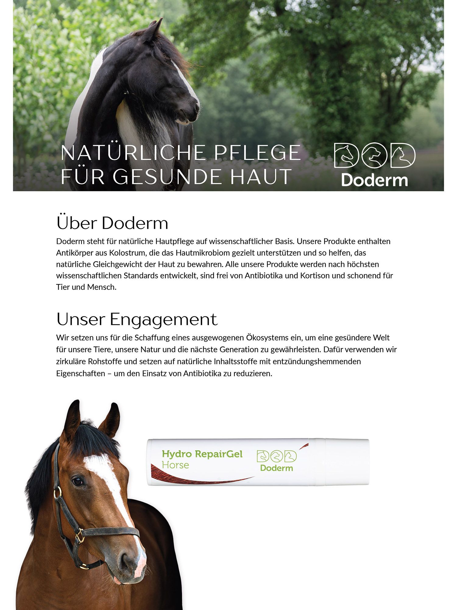 Doderm RepairGel Horse