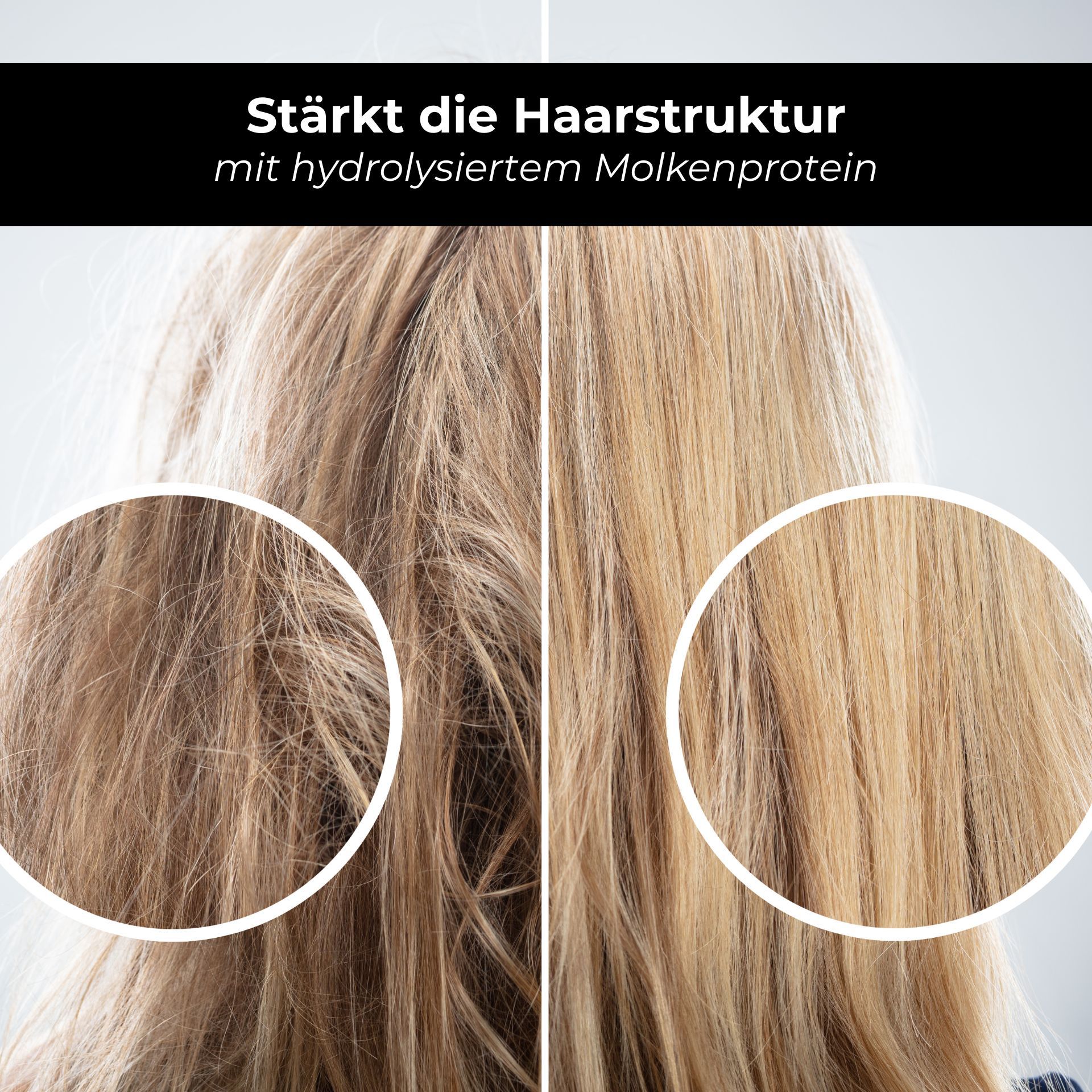 Vergleich von geschädigtem und gesundem Haar. Text: Stärkt die Haarstruktur mit hydrolysiertem Molkenprotein.