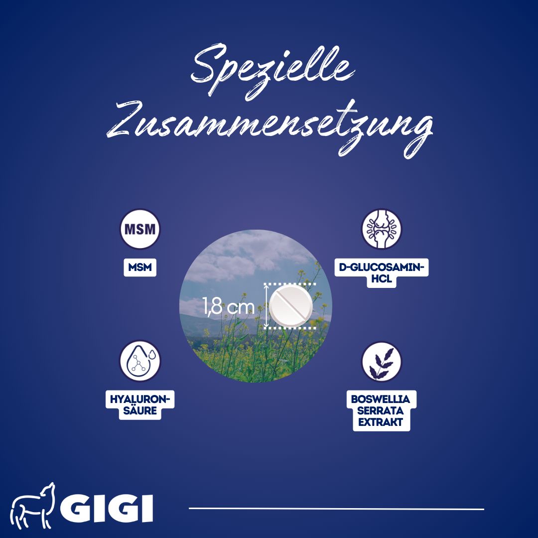 Nahaufnahme einer Tablette. Text: MSM, Hyaluronsäure, D-Glucosamin-HCL, Boswellia serrata Extrakt. Größe: 1,8 cm.