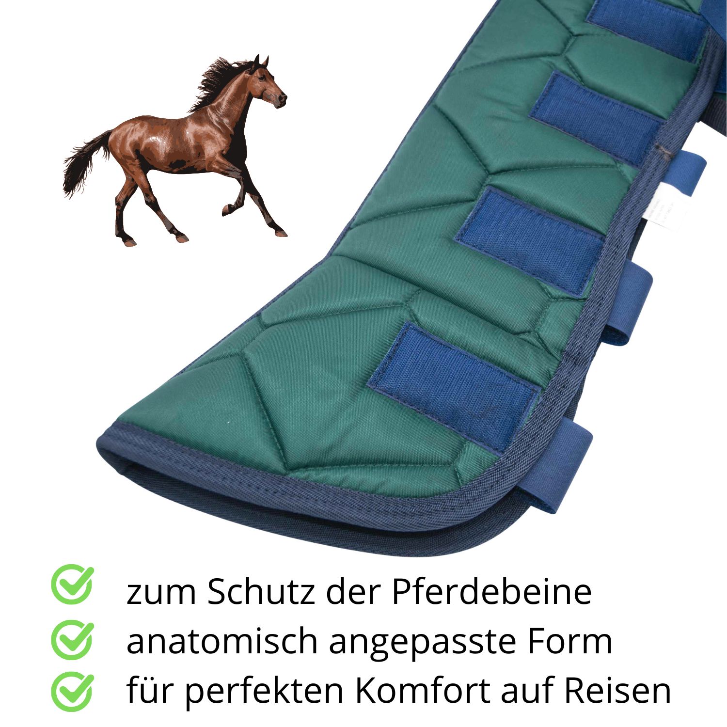 Grüne Transportgamasche mit blauen Klettverschlüssen. Text: 'zum Schutz der Pferdebeine', 'anatomisch angepasste Form'.