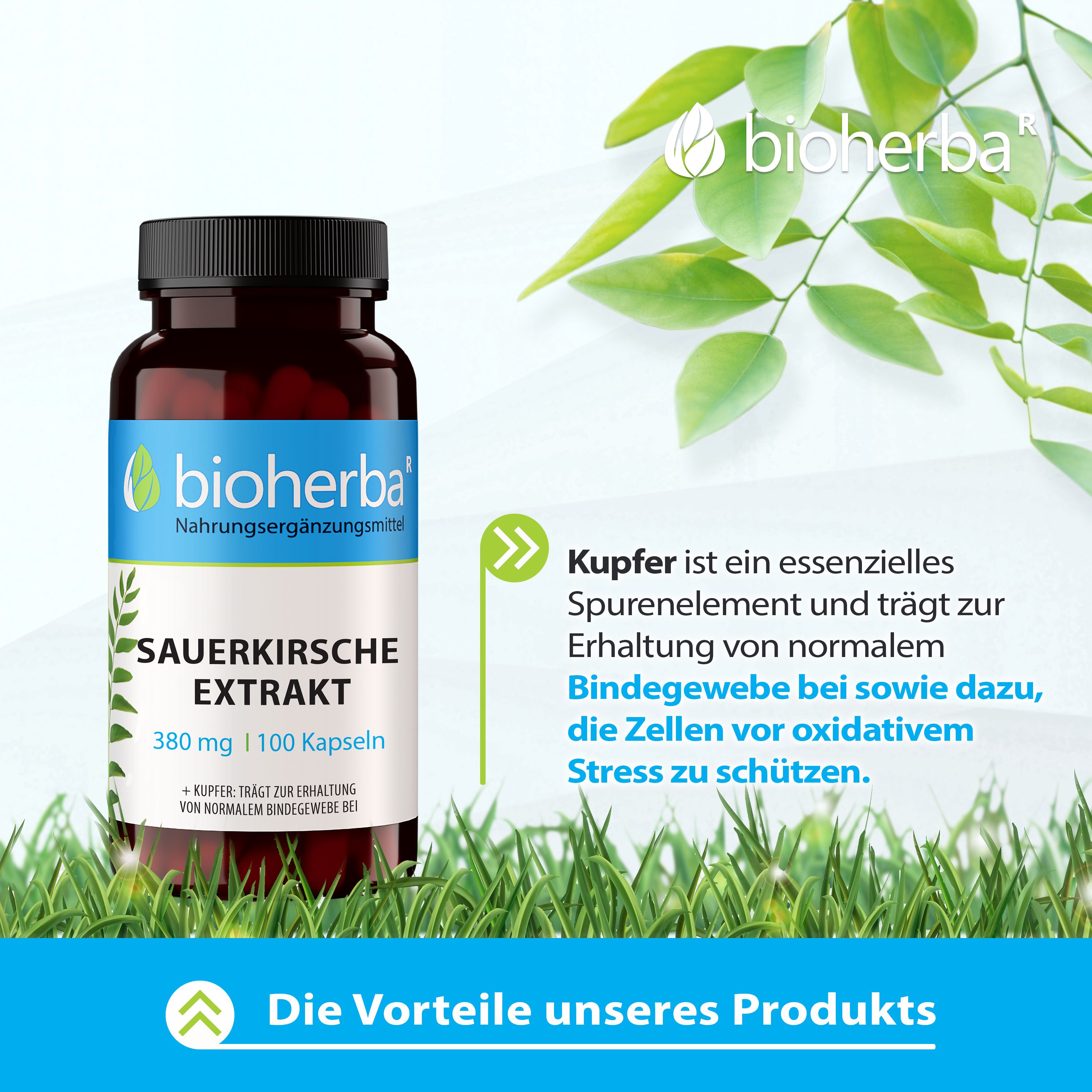 Produktflasche vor grünem Hintergrund. Text: Vorteile unseres Produkts. Marke und Produktname sichtbar.