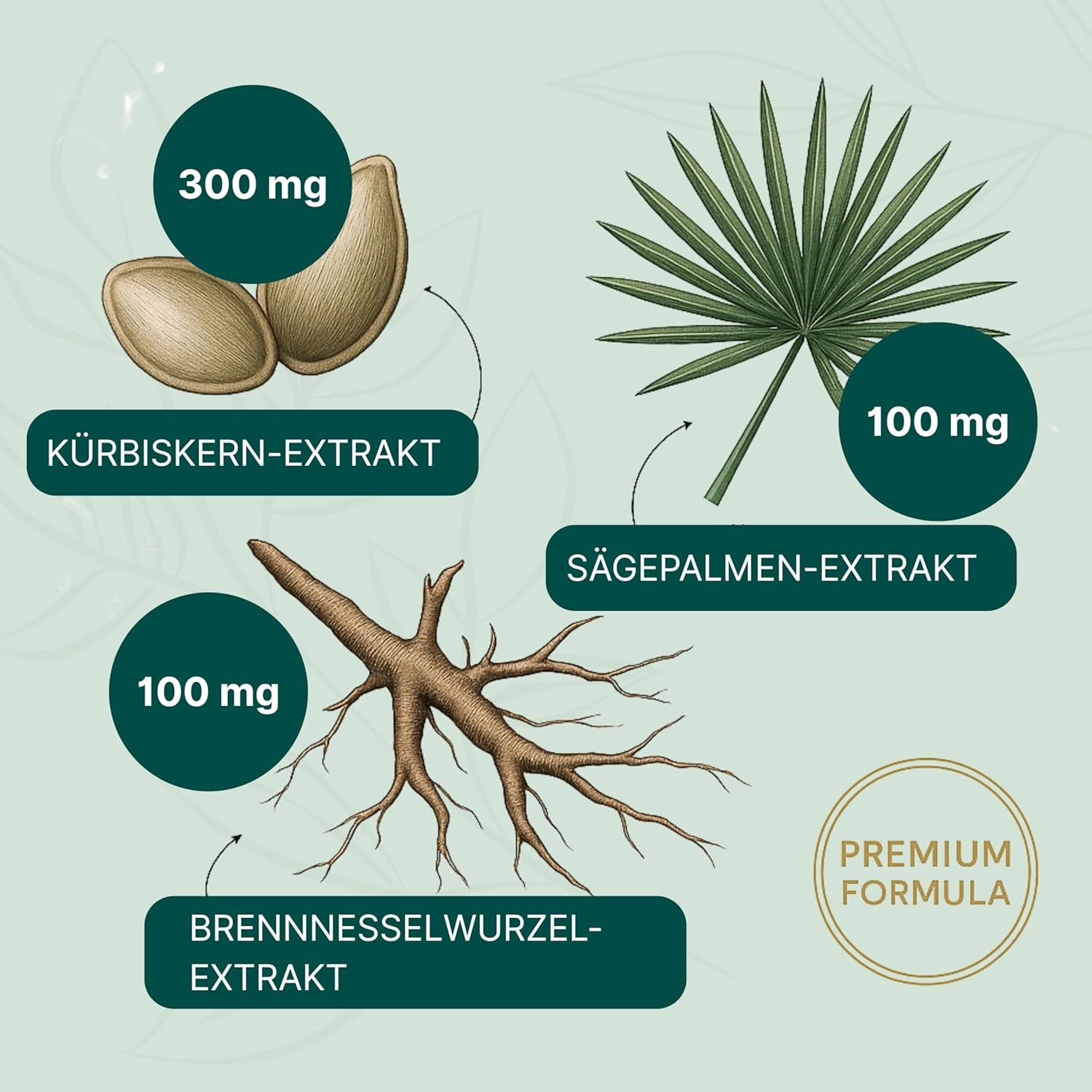 Illustrationen von Kürbiskern-Extrakt (300 mg), Sägepalmen-Extrakt (100 mg) und Brennnesselwurzel-Extrakt (100 mg). Premium Formula.