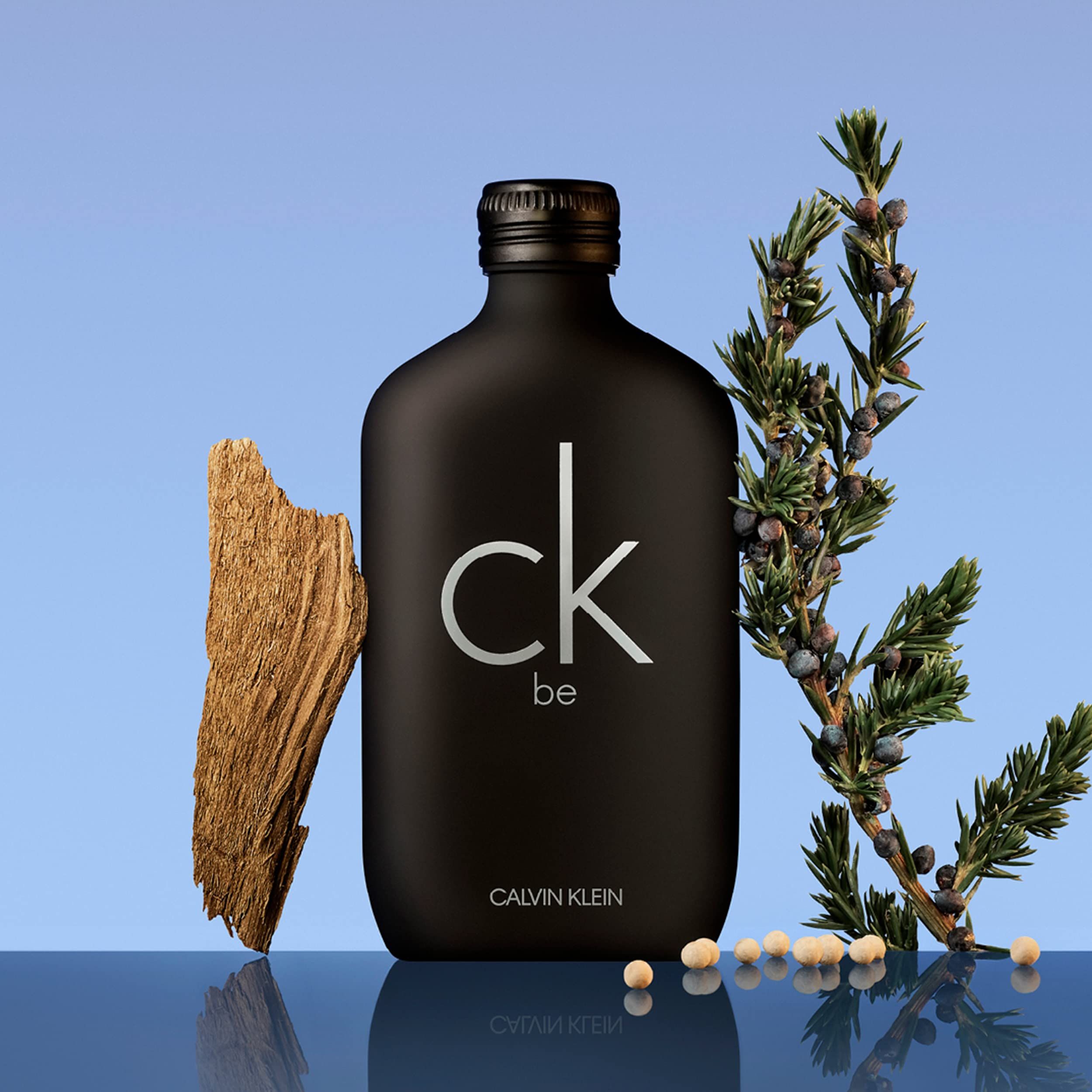 Schwarze Flasche von Calvin Klein CK Be Eau de Toilette mit Holz und Zweig. Aufschrift: ck be, Calvin Klein.
