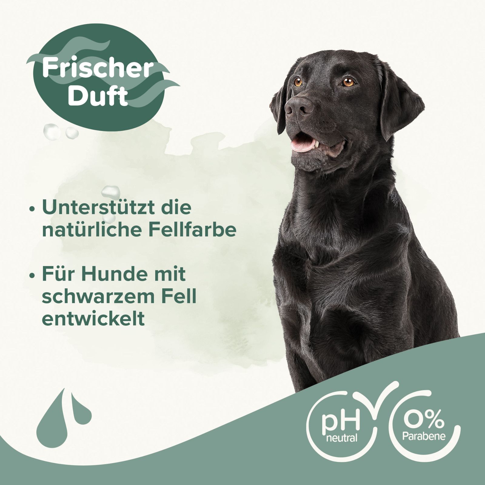 Schwarzer Hund. Text: Frischer Duft, unterstützt natürliche Fellfarbe, für Hunde mit schwarzem Fell. pH-neutral, 0% Parabene.