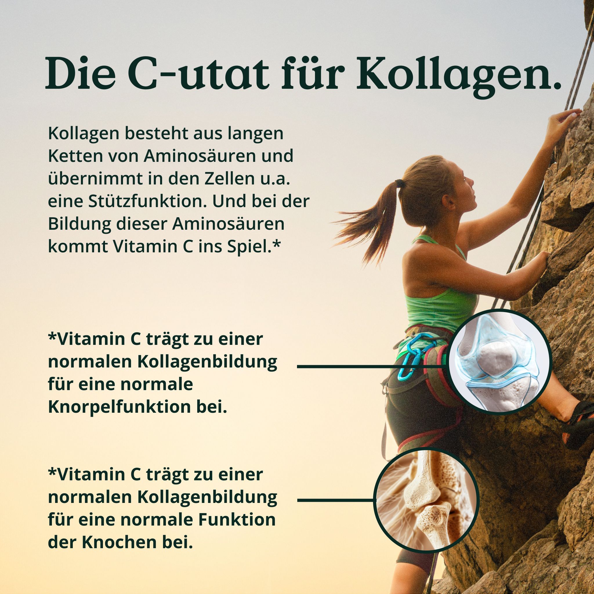 Frau beim Klettern, mit Grafiken, die die Wirkung von Vitamin C auf Kollagenbildung für Knorpel und Knochen zeigen.