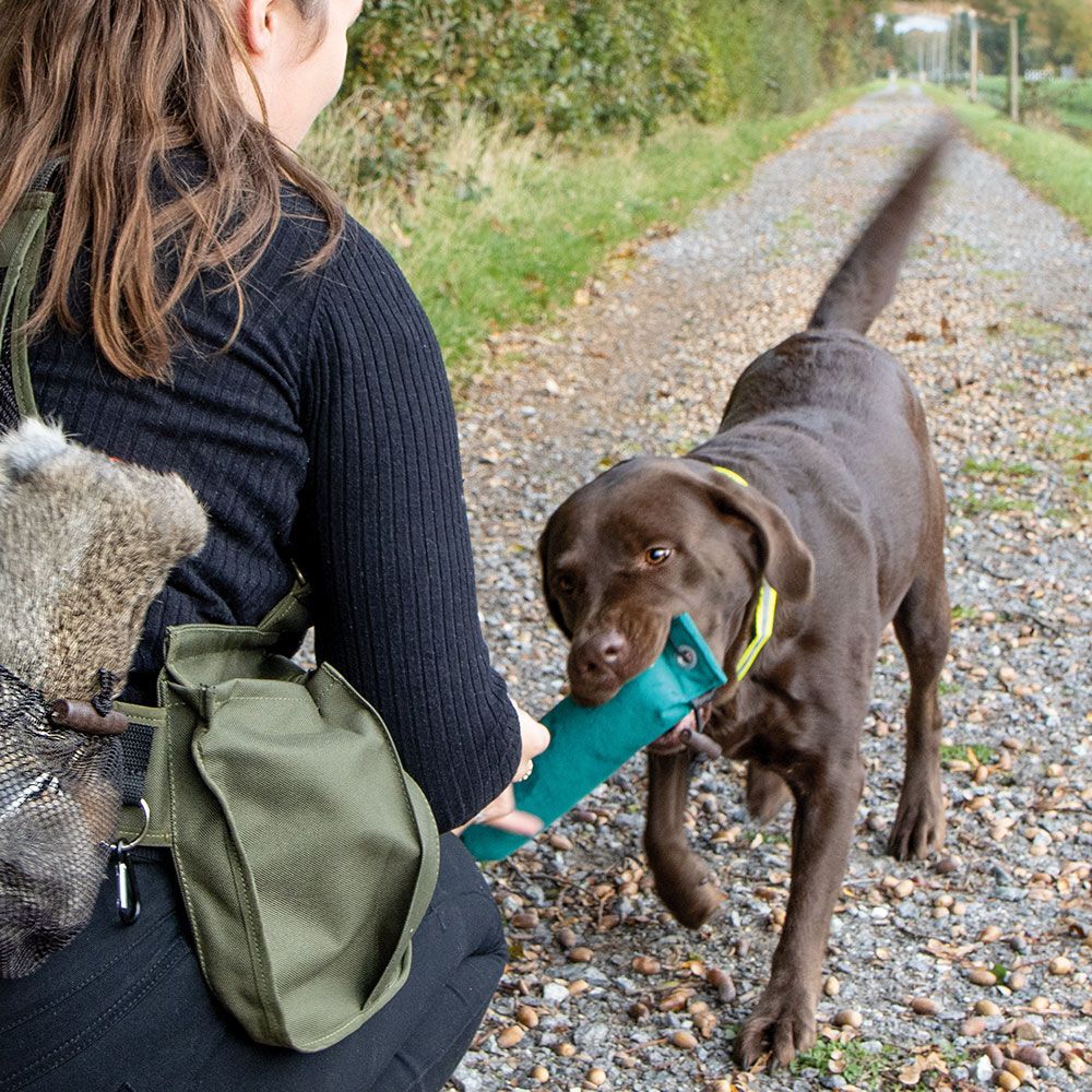 Mystique® Standard Hundedummy