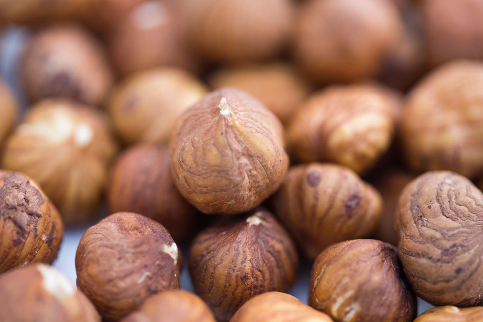 Gehäutete Haselnüsse, nah, braun. Einzelne Nüsse mit heller Spitze. Fokus auf eine Nuss.