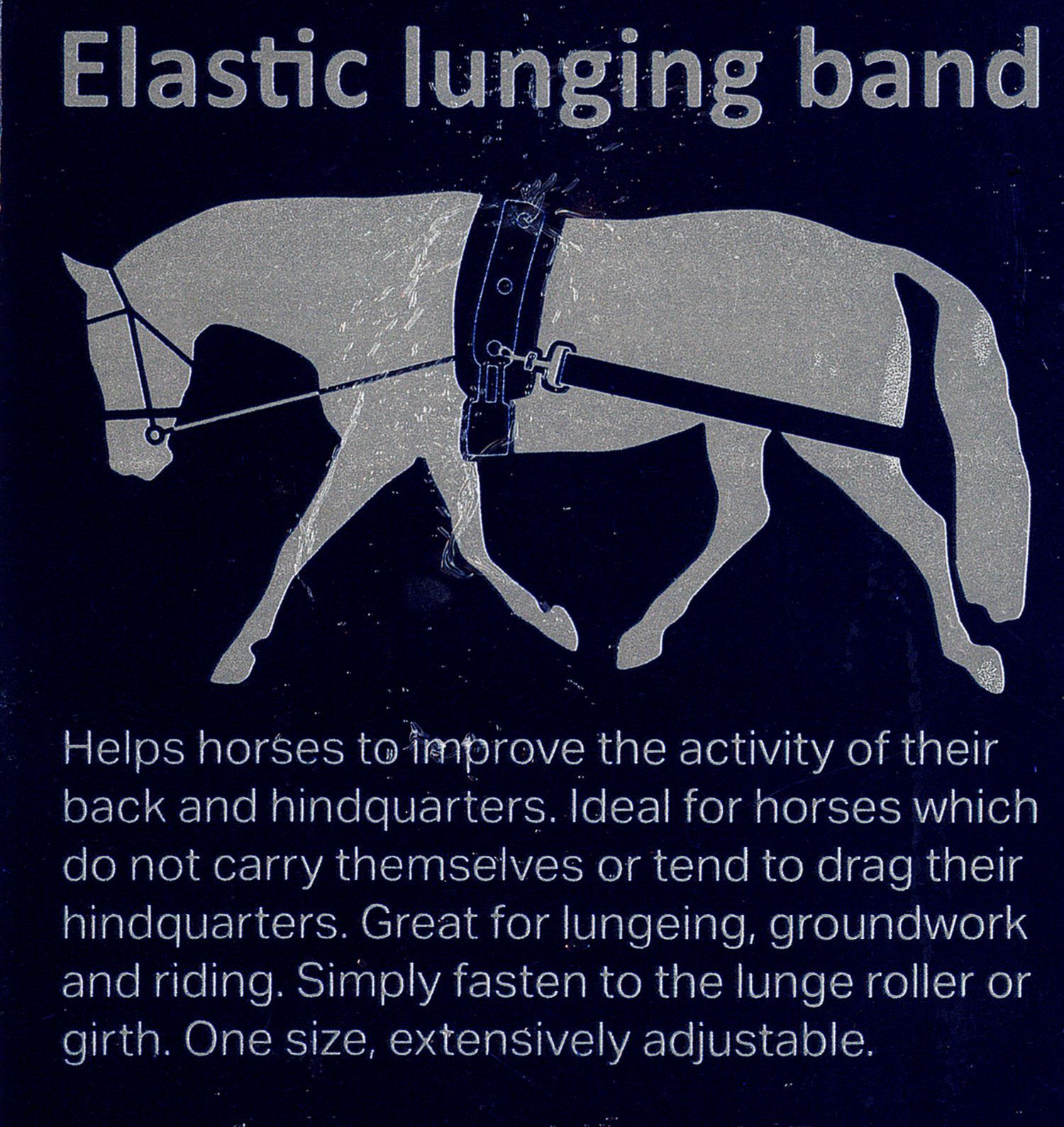 Grafik: Pferd mit Longierband. Text: "Elastic lunging band". Hilft Pferden, Aktivität von Rücken und Hinterhand zu verbessern.