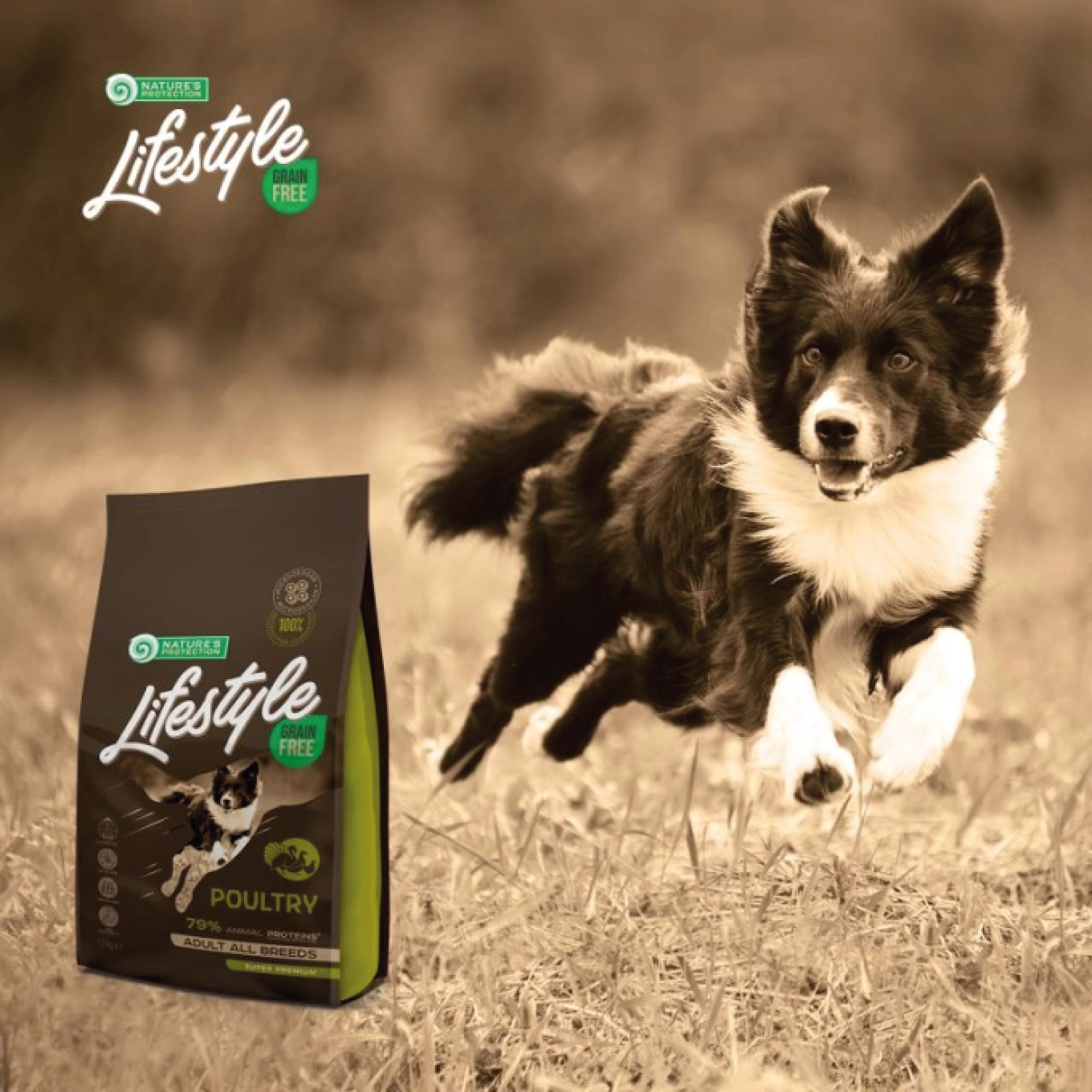 Hundefutter-Tüte neben einem rennenden Hund auf einer Wiese. Aufschrift: Lifestyle, Grain Free, Poultry.