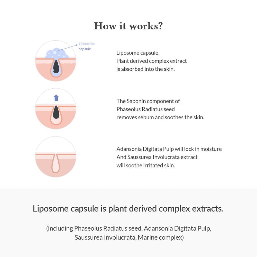 Illustration erklärt die Wirkungsweise von Liposomenkapseln und pflanzlichen Extrakten auf die Haut.