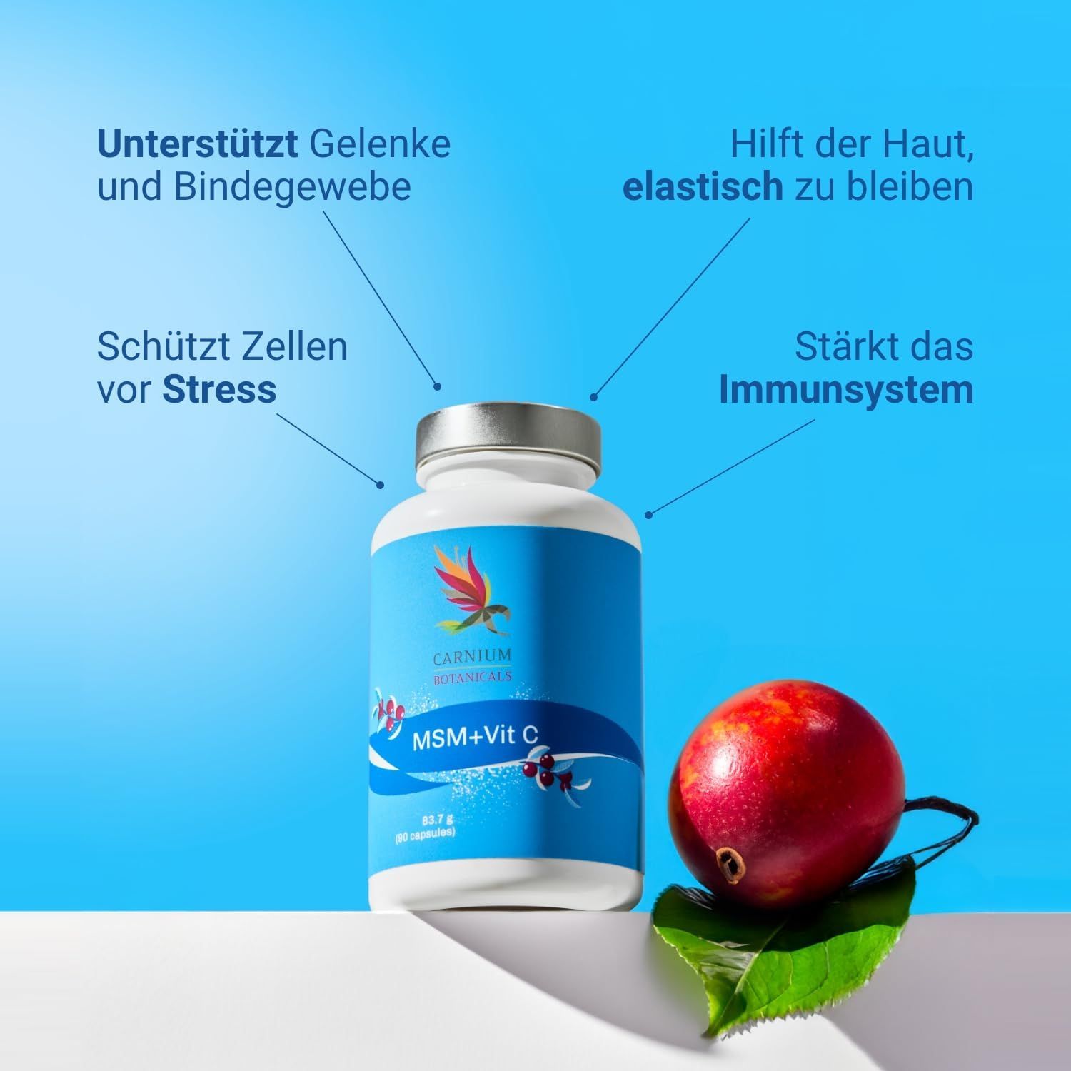 Flasche "MSM+Vit C" mit Texten: Gelenke, Haut, Immunsystem, Stress. Roter Apfel daneben.