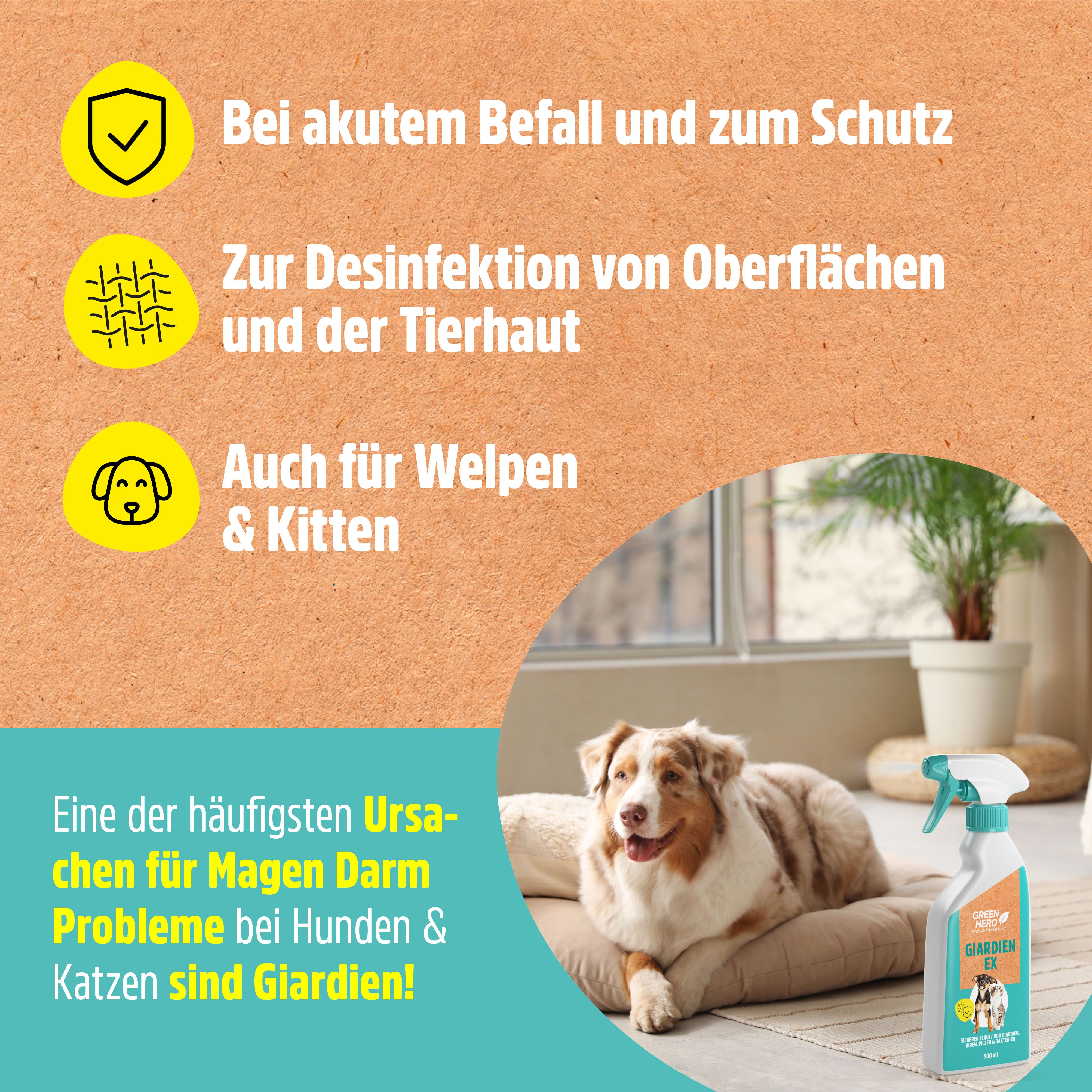 Sprayflasche neben Hund. Text: Für Welpen & Kitten, Desinfektion von Oberflächen und Tierhaut.