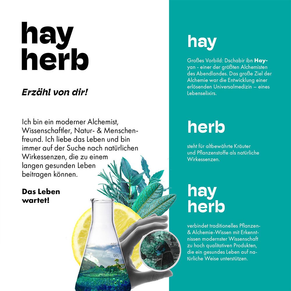 Illustration mit Glasflasche, Zitrone, Kräutern. Text: hay herb. Erzähl von dir! Blauer Hintergrund.