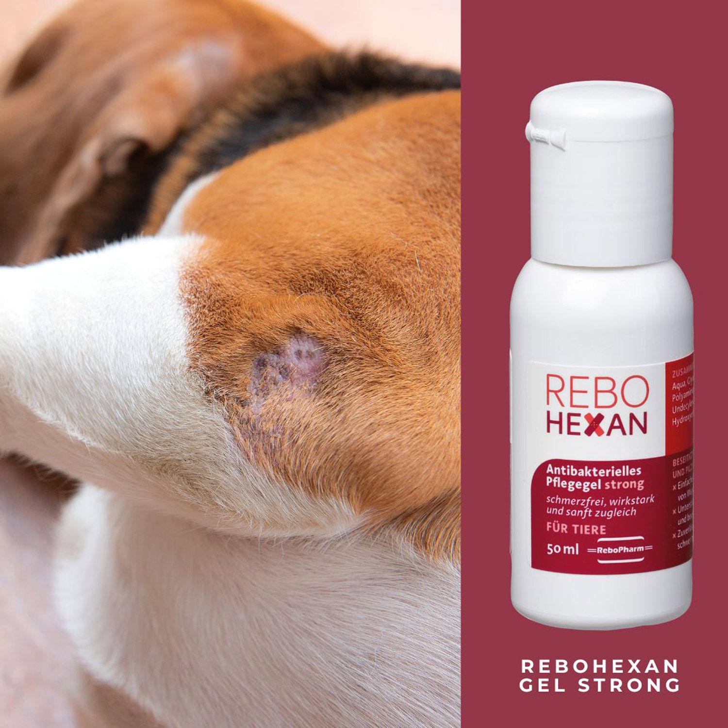 REBOHEXAN Gel strong