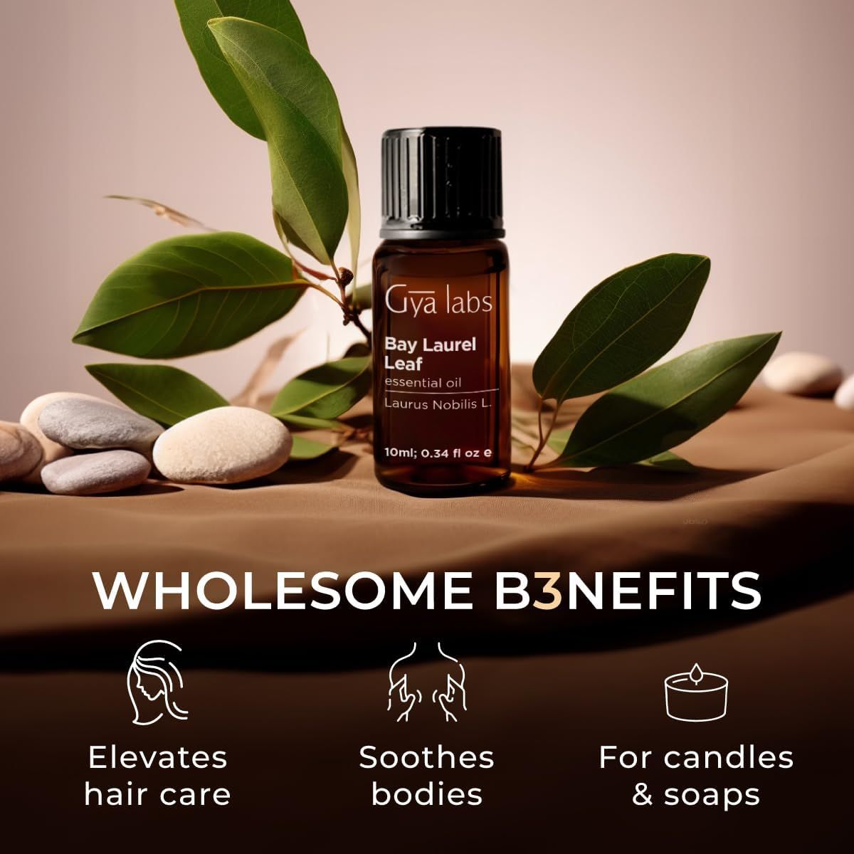 Braune Flasche, Blätter, Steine. Text: Gya Labs, Bay Laurel Leaf, essential oil, 10ml, Wholesome Benefits.