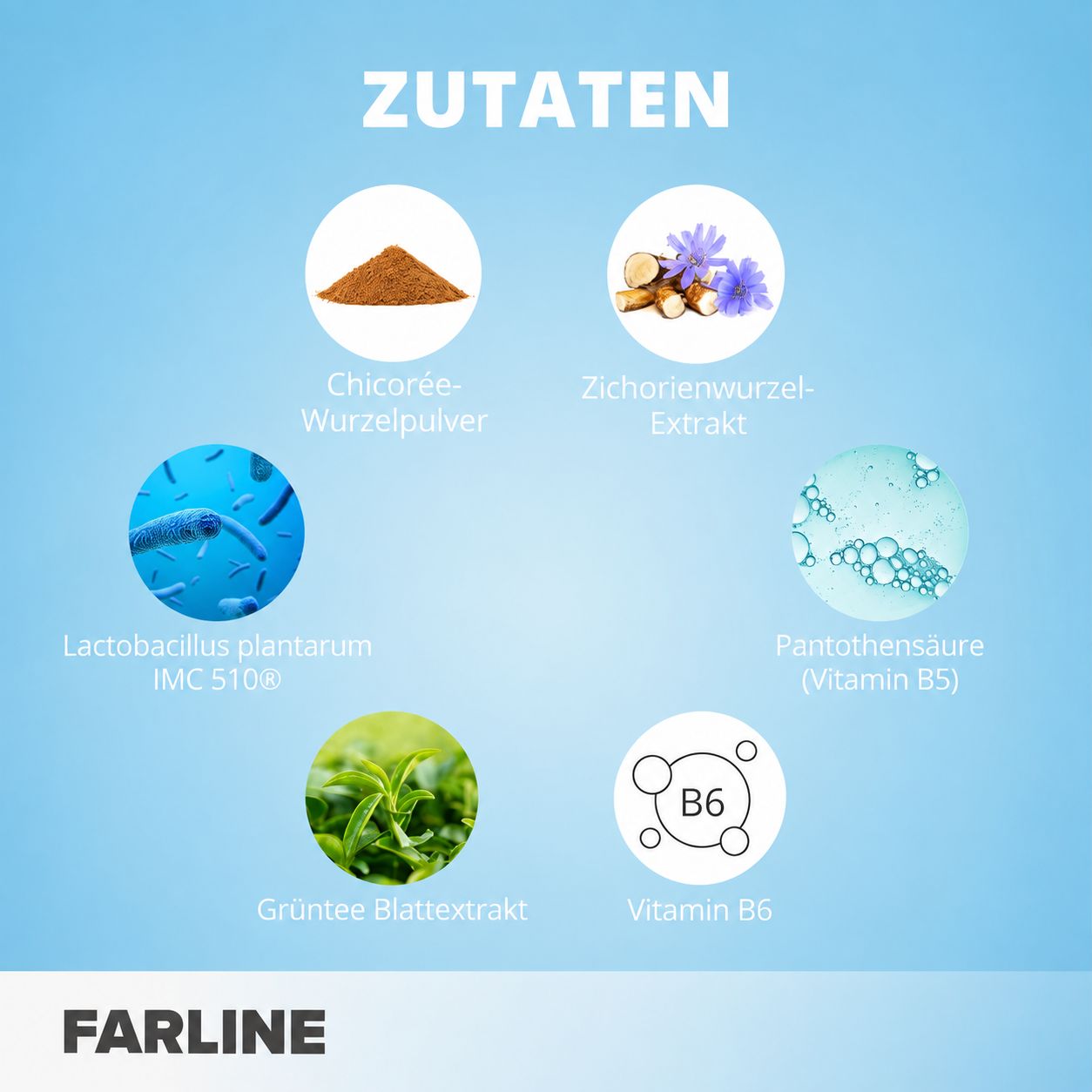 Novomins Endo Gummies: 60 Stück, Ananasgeschmack, mit Inositol, freundlichen Bakterien, Kurkuma, Grüntee, Vitamin B6, Cholin.