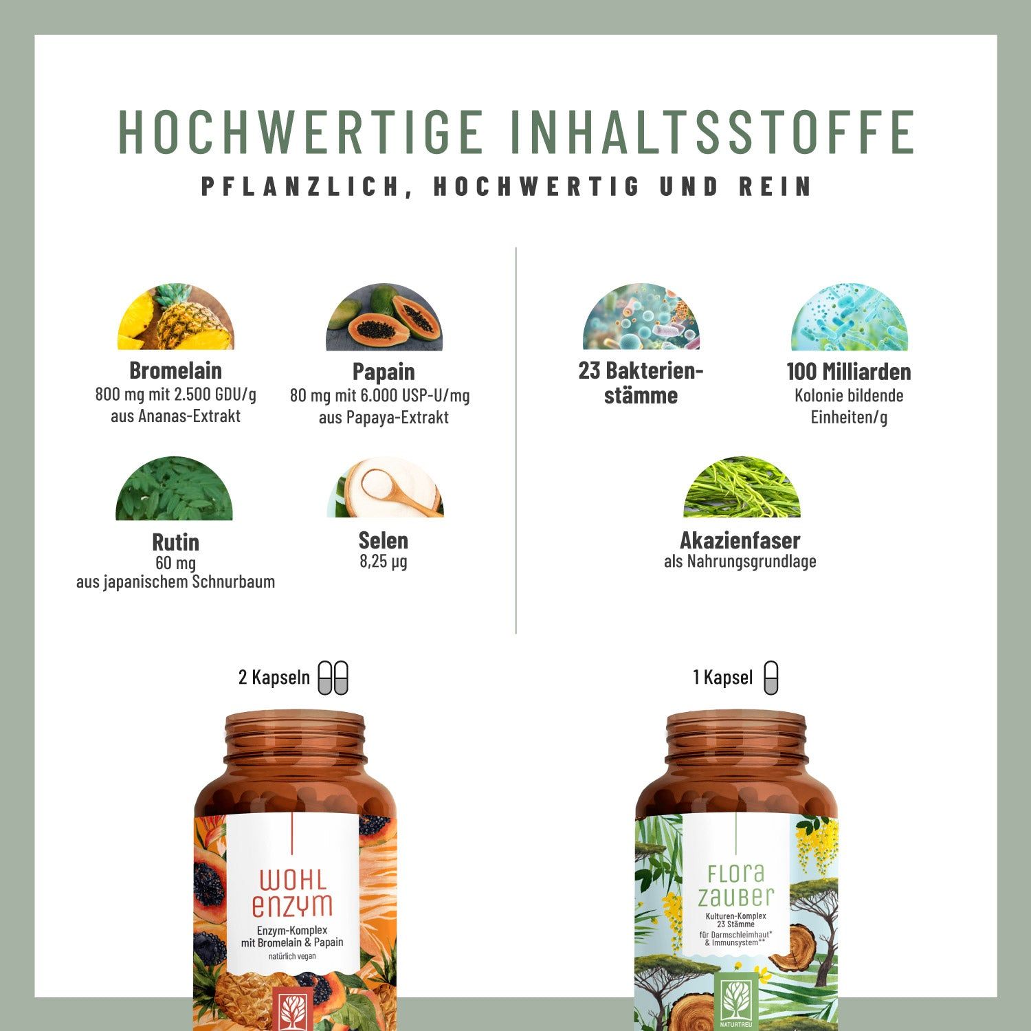 Infografik mit Inhaltsstoffen: Bromelain, Papain, 23 Bakterienstämme, 100 Milliarden Kolonien, Rutin, Selen, Akazienfaser.