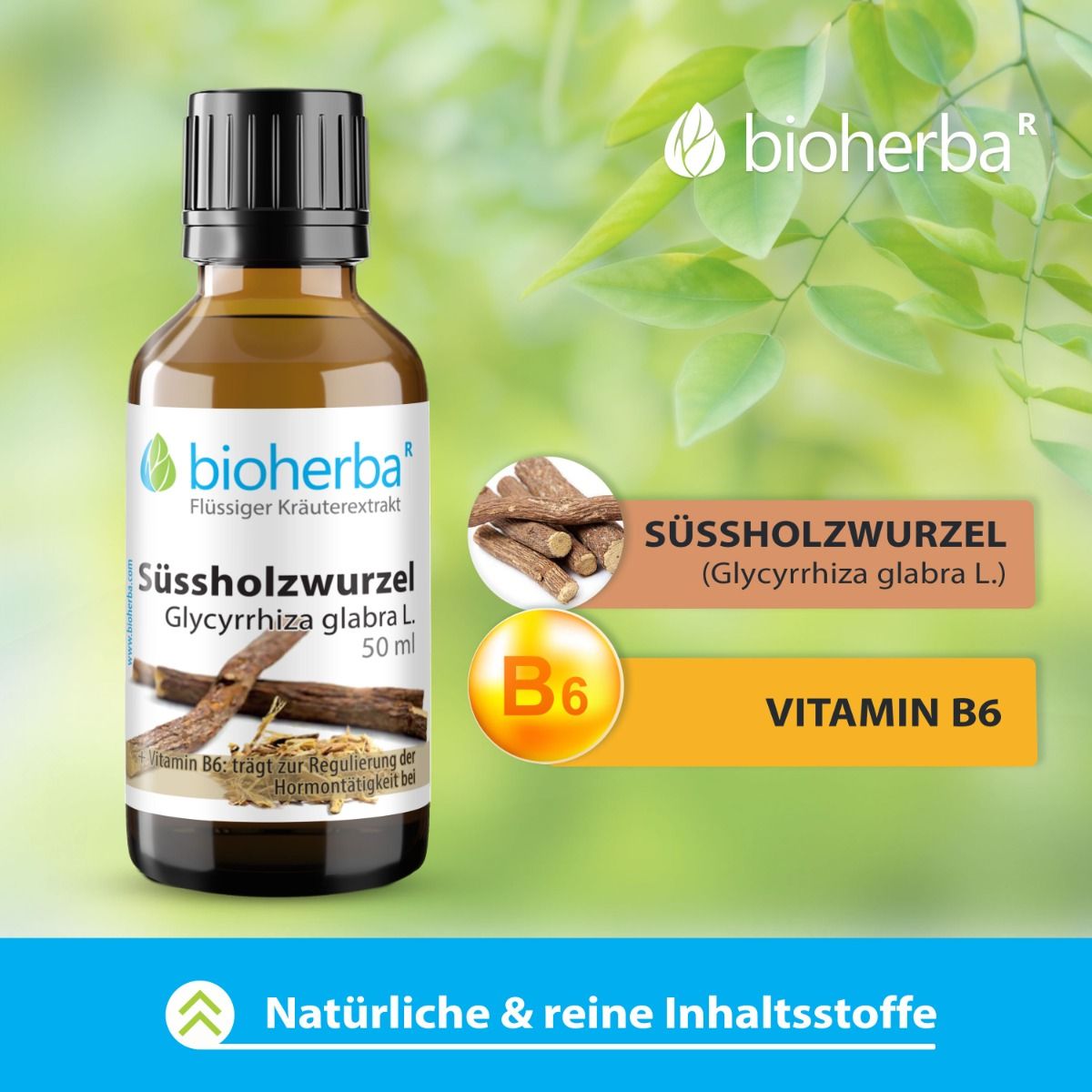 Braune Glasflasche mit schwarzem Deckel. Etikett mit Produktnamen und Logo. Abbildung von Süssholzwurzel. Text: Vitamin B6.