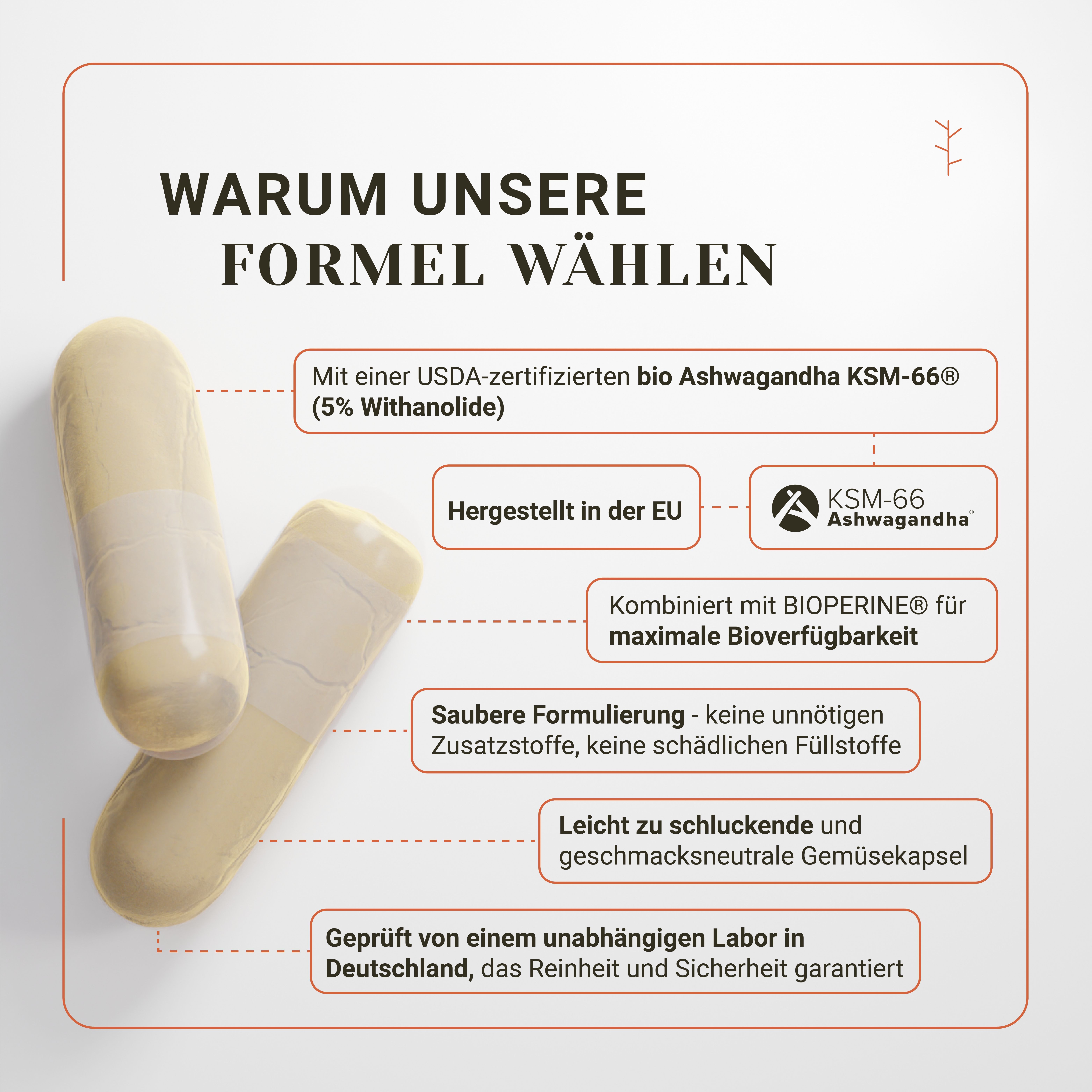 Zwei Kapseln. Text: Warum unsere Formel wählen. USDA-zertifiziertes Ashwagandha KSM-66. Mit Bioperine. Ohne Zusatzstoffe. EU-Hergestellt.