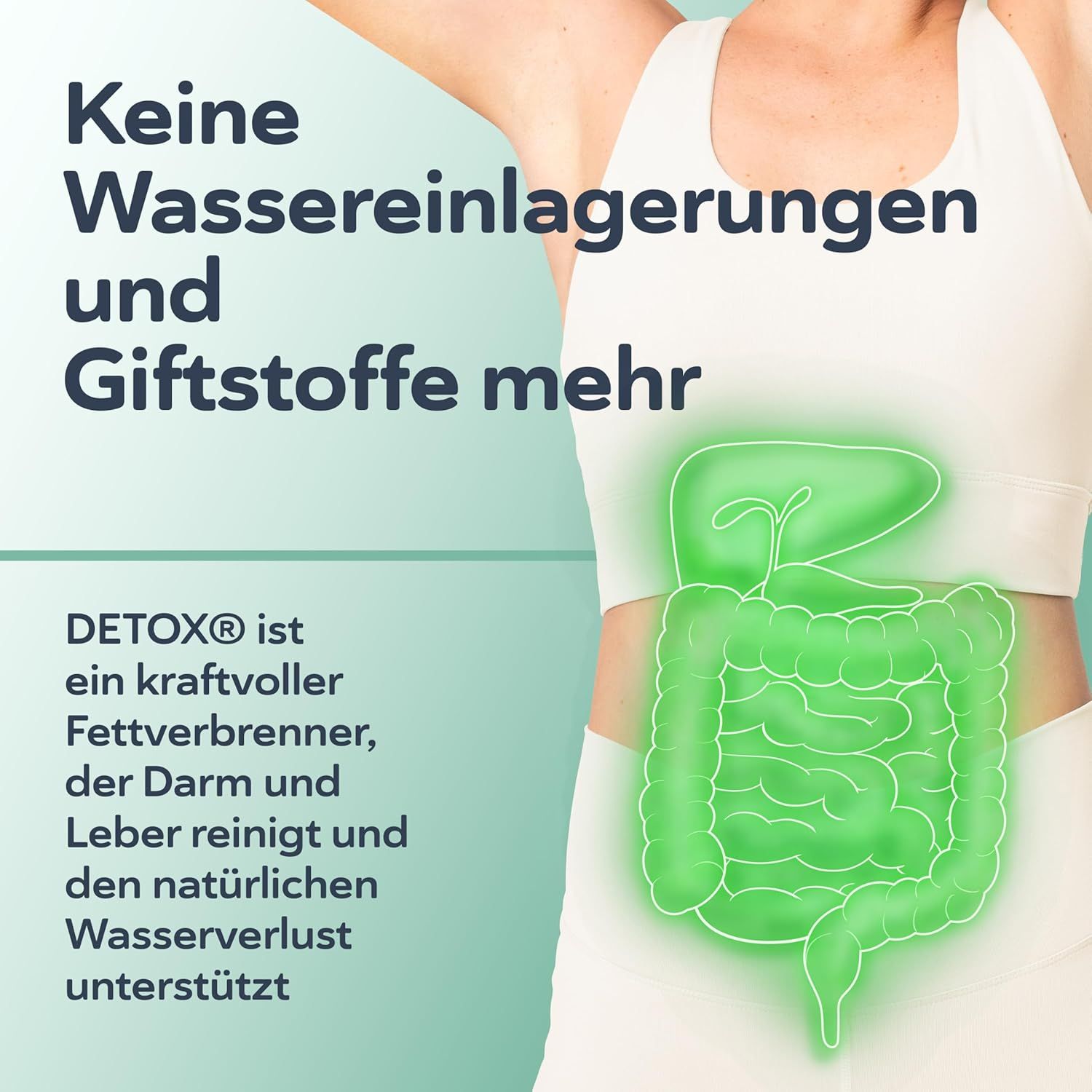 Grafik des Verdauungssystems mit leuchtenden Konturen. Text: Keine Wassereinlagerungen und Giftstoffe mehr.