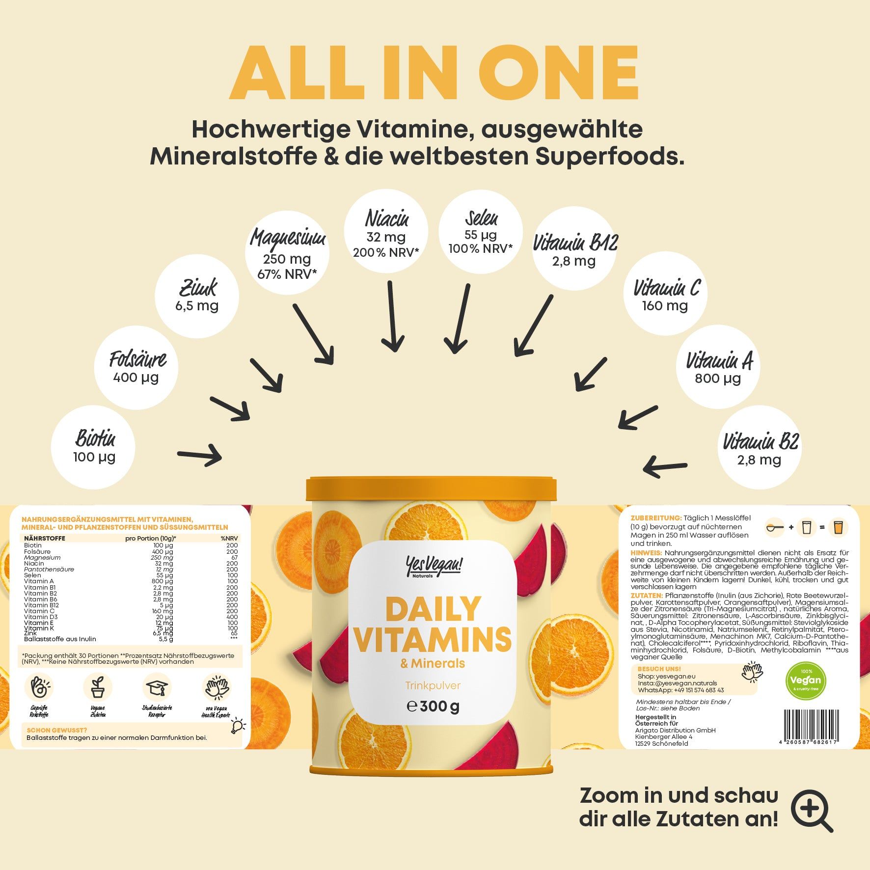 Infografik mit Nährstoffangaben. Dose "Daily Vitamins & Minerals" im Zentrum. Pfeile zeigen auf Vitamine und Mineralstoffe.