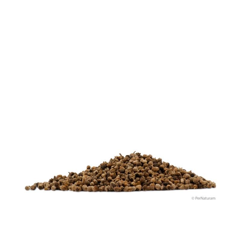 Haufen getrockneter, brauner Mönchspfeffer-Samen. Kleiner, unregelmäßiger Haufen auf weißem Hintergrund. PerNaturam-Logo unten rechts.