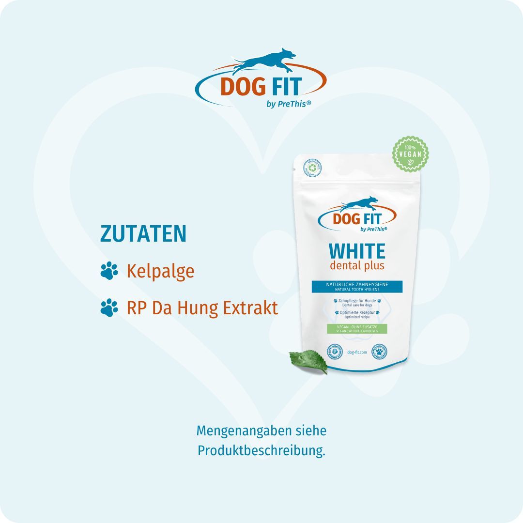 Verpackung DOG FIT WHITE dental plus. Zutaten: Kelpalge, RP Da Hung Extrakt. Text: Mengenangaben siehe Produktbeschreibung.