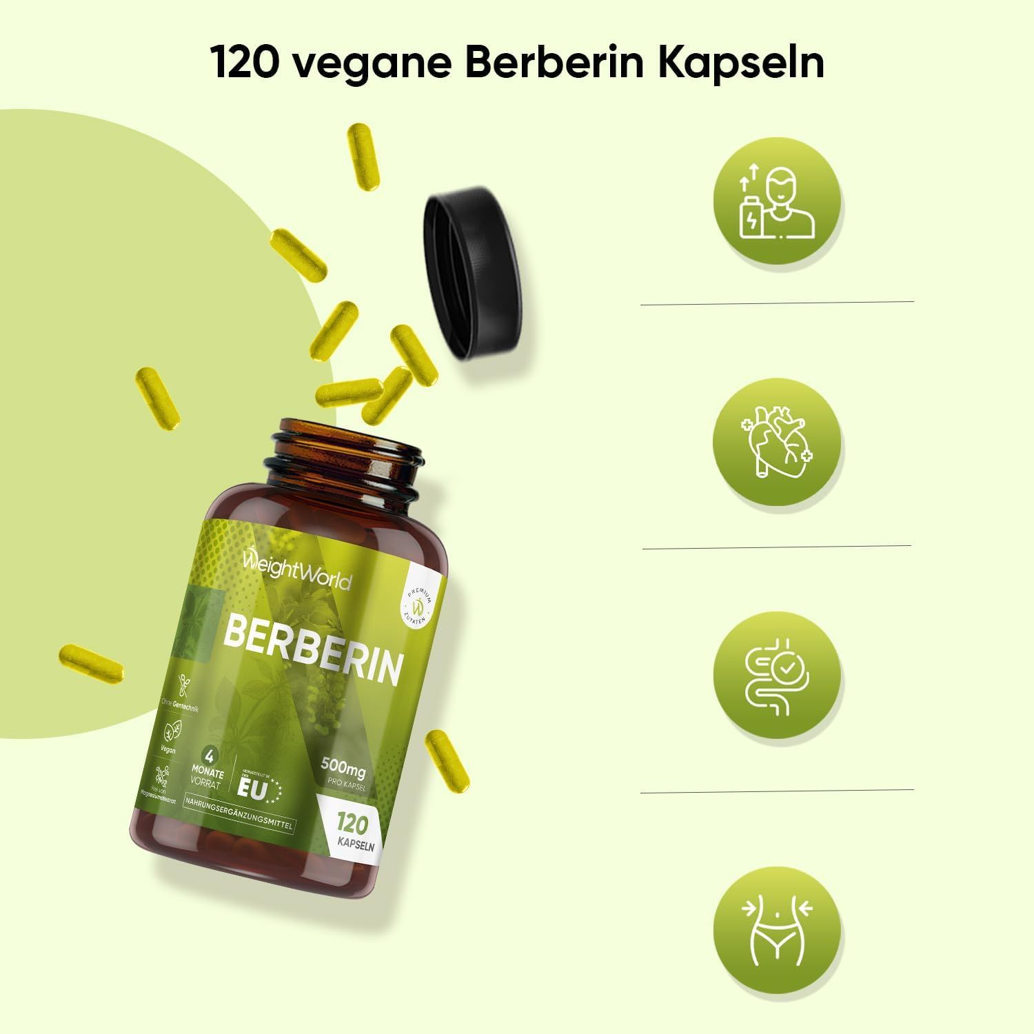Geöffnete Flasche mit 120 veganen Berberin Kapseln. Grüne Symbole: Gesundheit, Verdauung, Herz, Figur. Hintergrund: hellgrün.