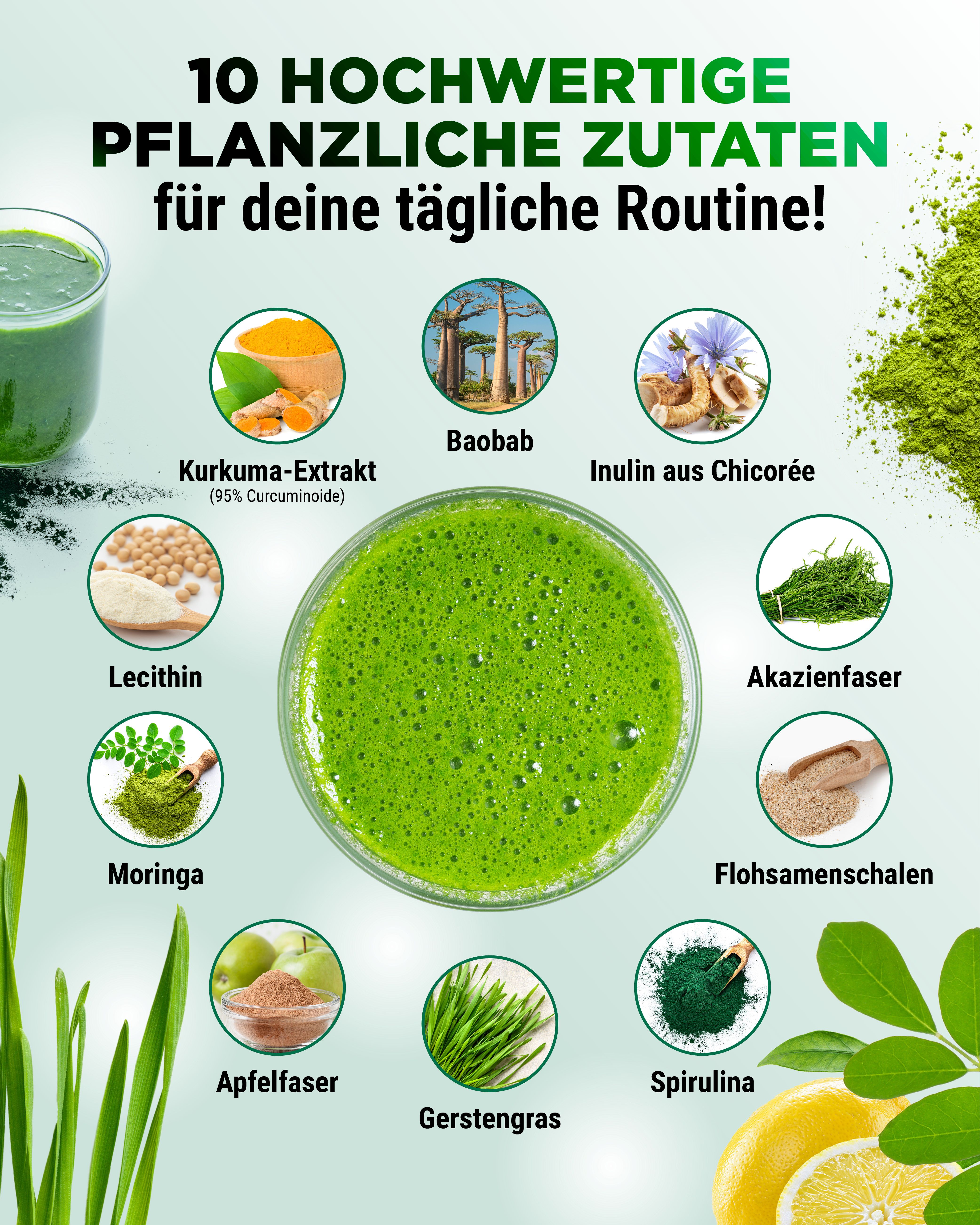 Kreisförmige Anordnung von Zutaten: Kurkuma, Baobab, Inulin, Akazienfaser, Flohsamenschalen, Spirulina, Apfelfaser, Gerstengras, Moringa, Lecithin.