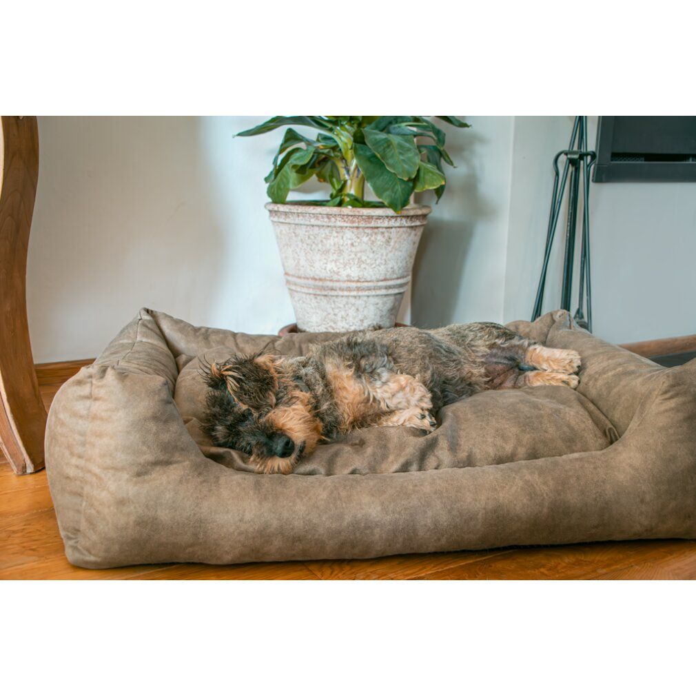 Let's Sleep Sweet Dreams Hundekorb Mit Kissen xl Taupe