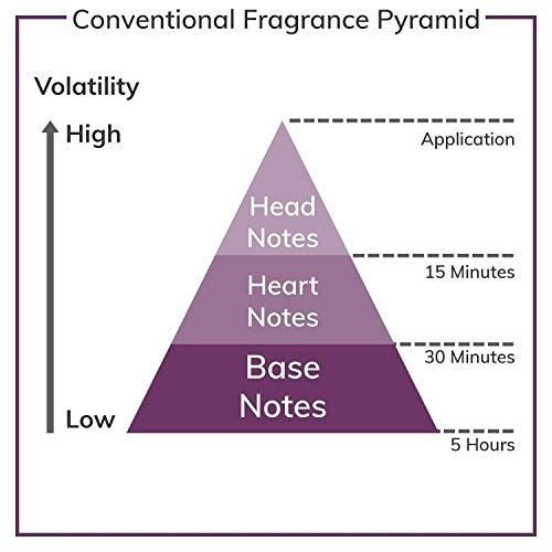 Diagramm einer Duftpyramide. Zeigt die Volatilität von hoch nach niedrig. Enthält Kopf-, Herz- und Basisnoten mit Zeitangaben.
