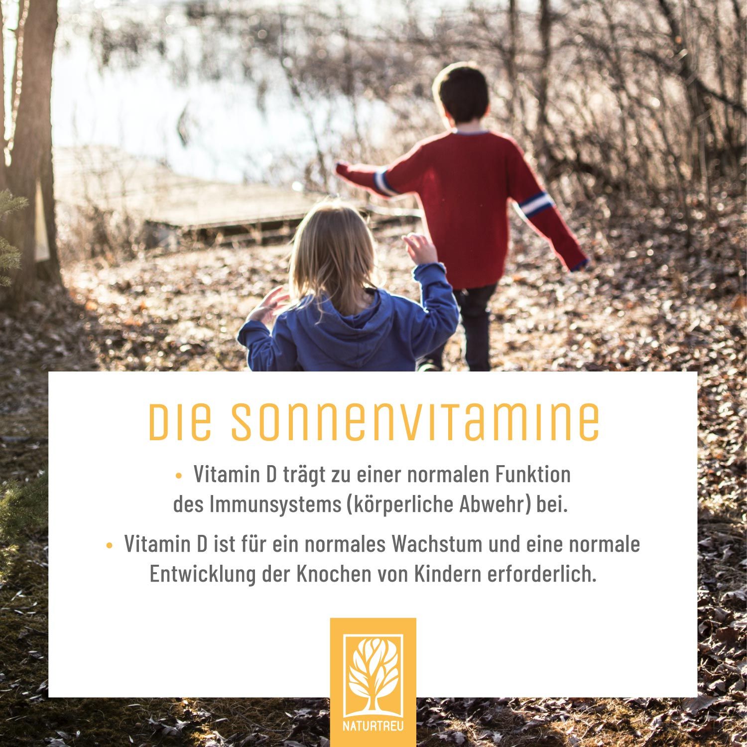 Vitamin D3 & K2 Tropfen für Kinder ab 1 - Sonnenknirps - NATURTREU®