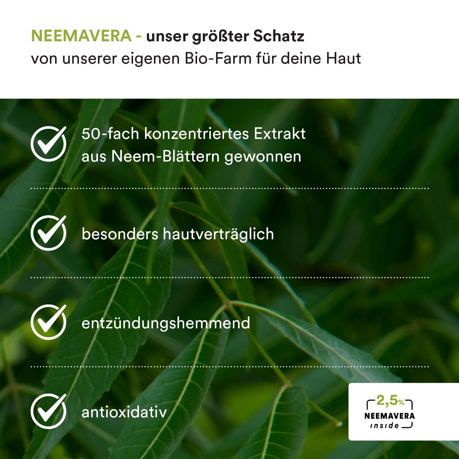 Text: NEEMAVERA - unser größter Schatz. 50-fach konzentrierter Extrakt. Besonders hautverträglich, entzündungshemmend, antioxidativ.