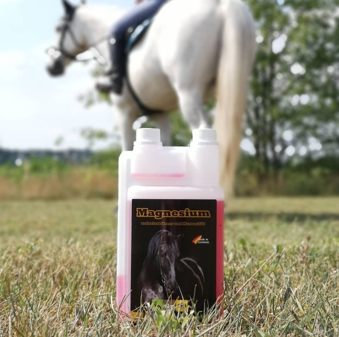 Magnesium-Ergänzungsfuttermittel für Pferde. Flasche im Gras, Pferd im Hintergrund, Etikett mit "Magnesium"-Schriftzug, NatuSol-Logo.