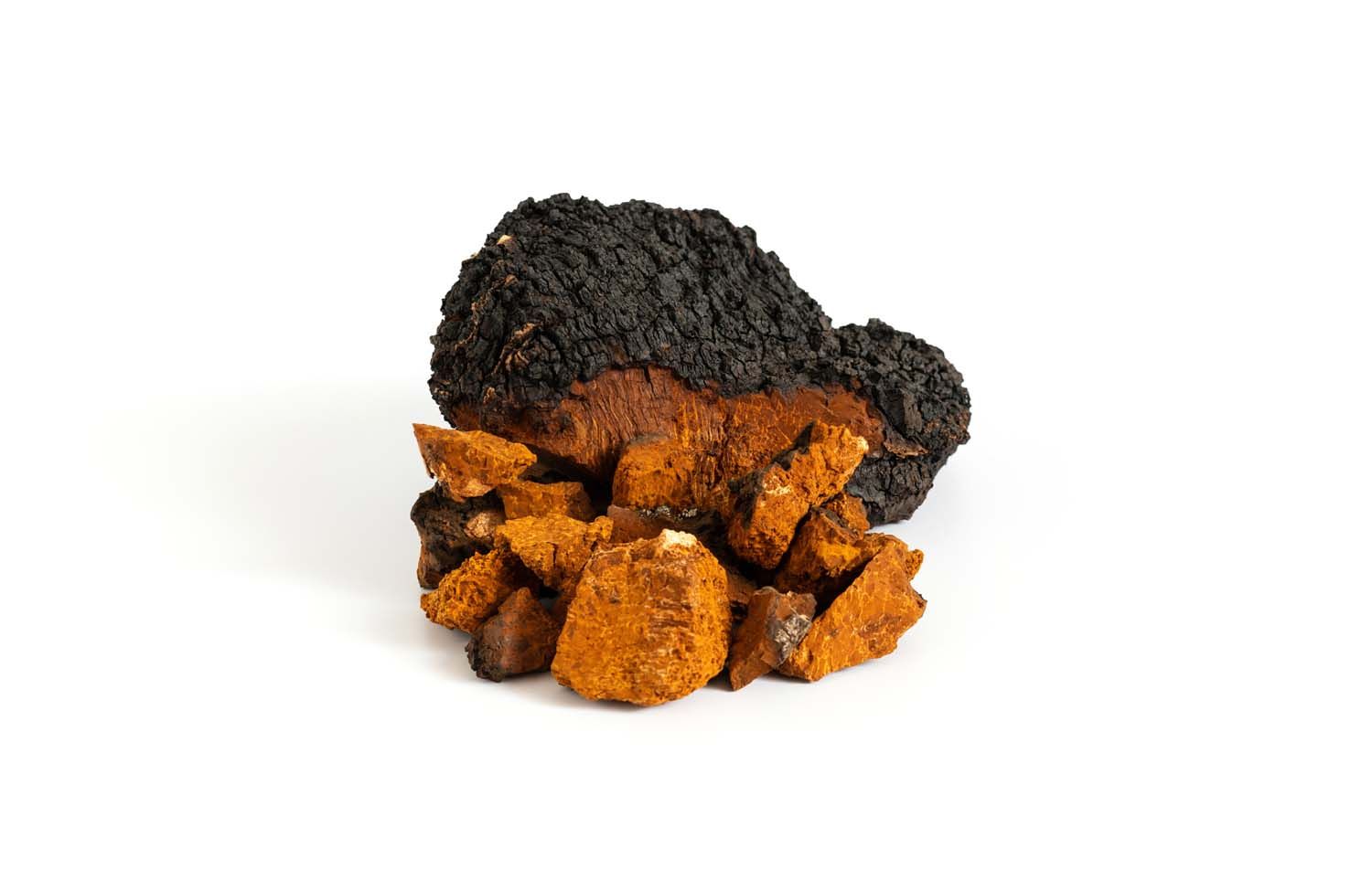 Chaga-Pilz in Stücken, braun und schwarz. Auf weißem Hintergrund.