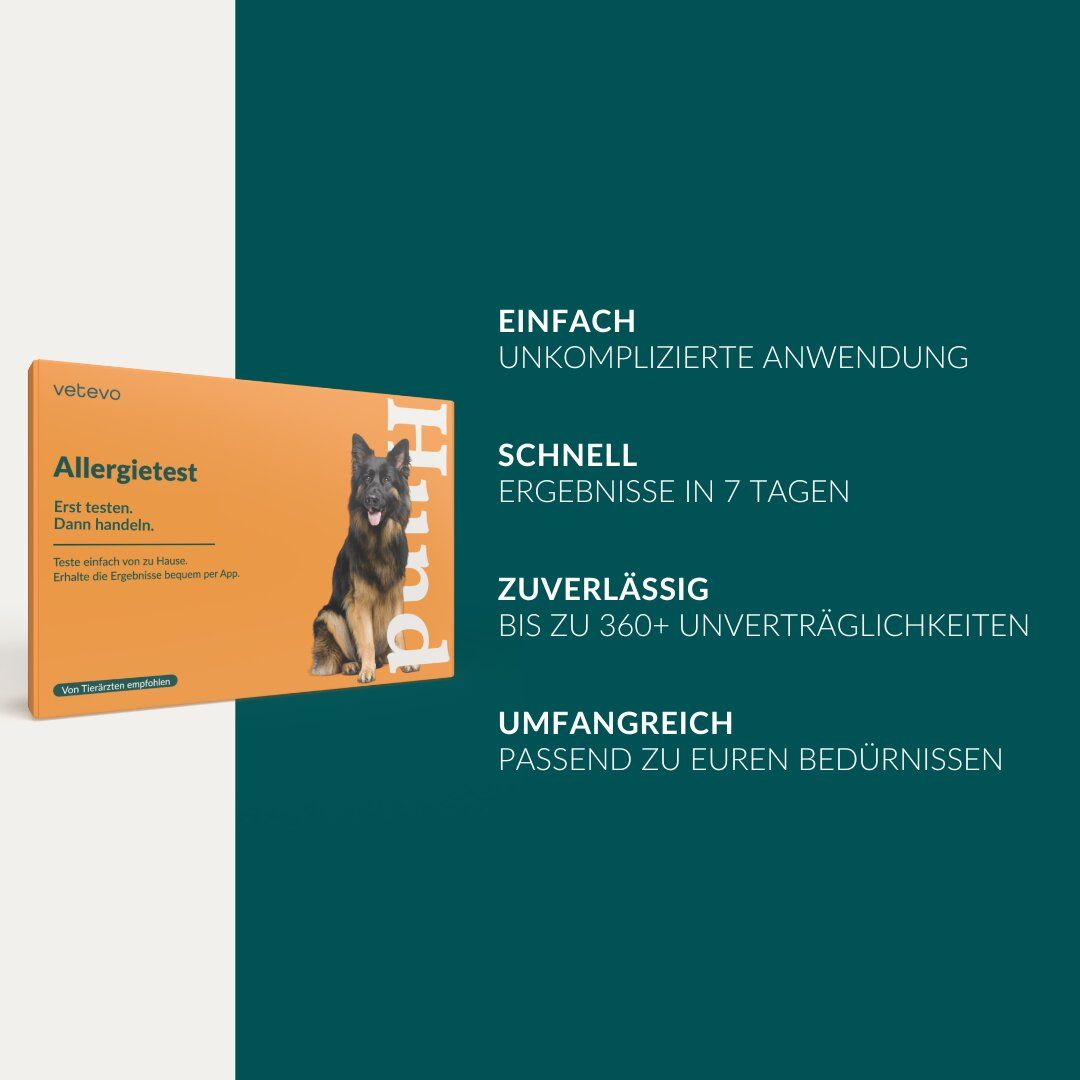 Orangefarbene Produktverpackung von Allergietest Hund. Text: Einfache Anwendung, schnelle Ergebnisse in 7 Tagen, zuverlässig, umfassend.
