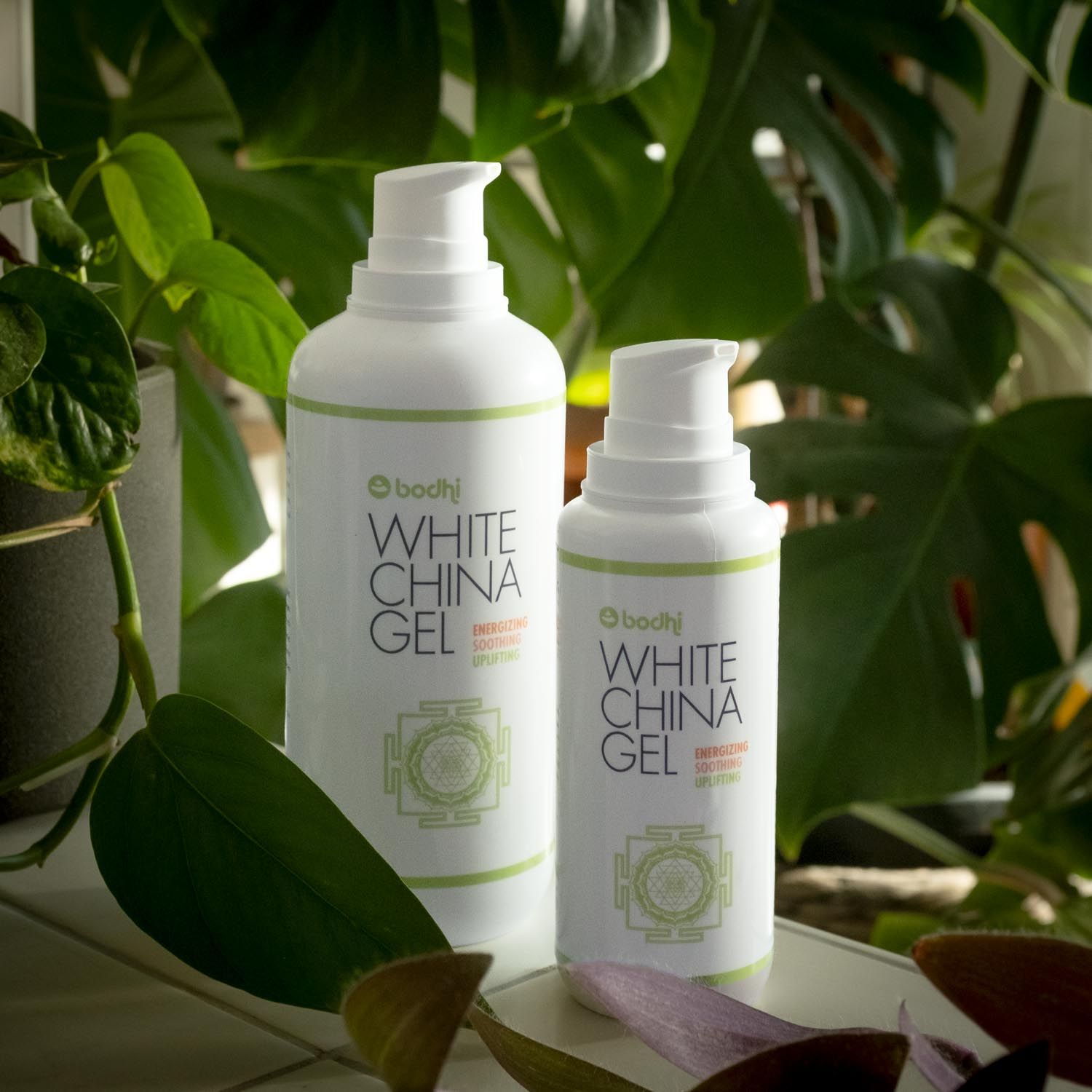 Zwei weiße Pumpflaschen. Aufschrift: bodhi White China Gel. Grünes Logo und Schriftzug. Vor Pflanzen.