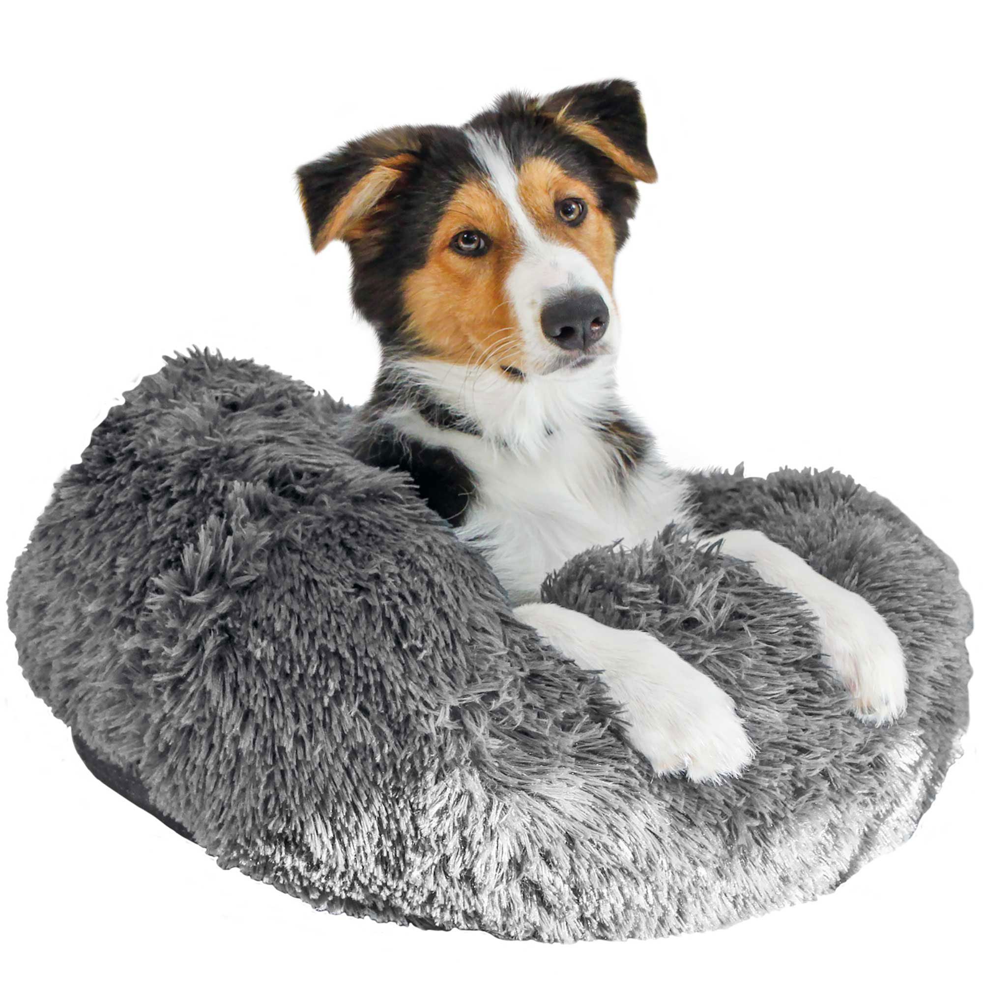 Graues Hunde-Plüschbett, runde Form, flauschig. Ein Hund liegt im Bett.