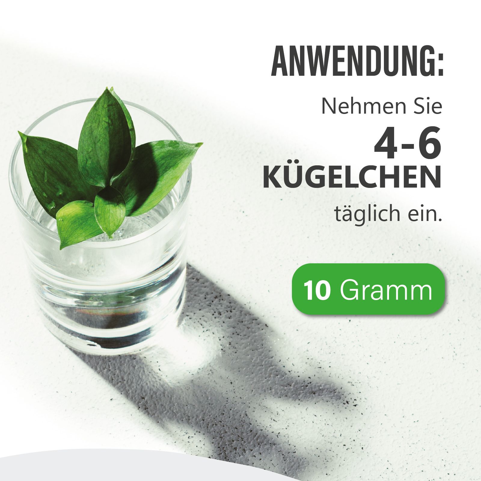 Glas mit Wasser und grünen Blättern. Anwendungshinweis: 4-6 Kügelchen täglich. 10 Gramm-Angabe.