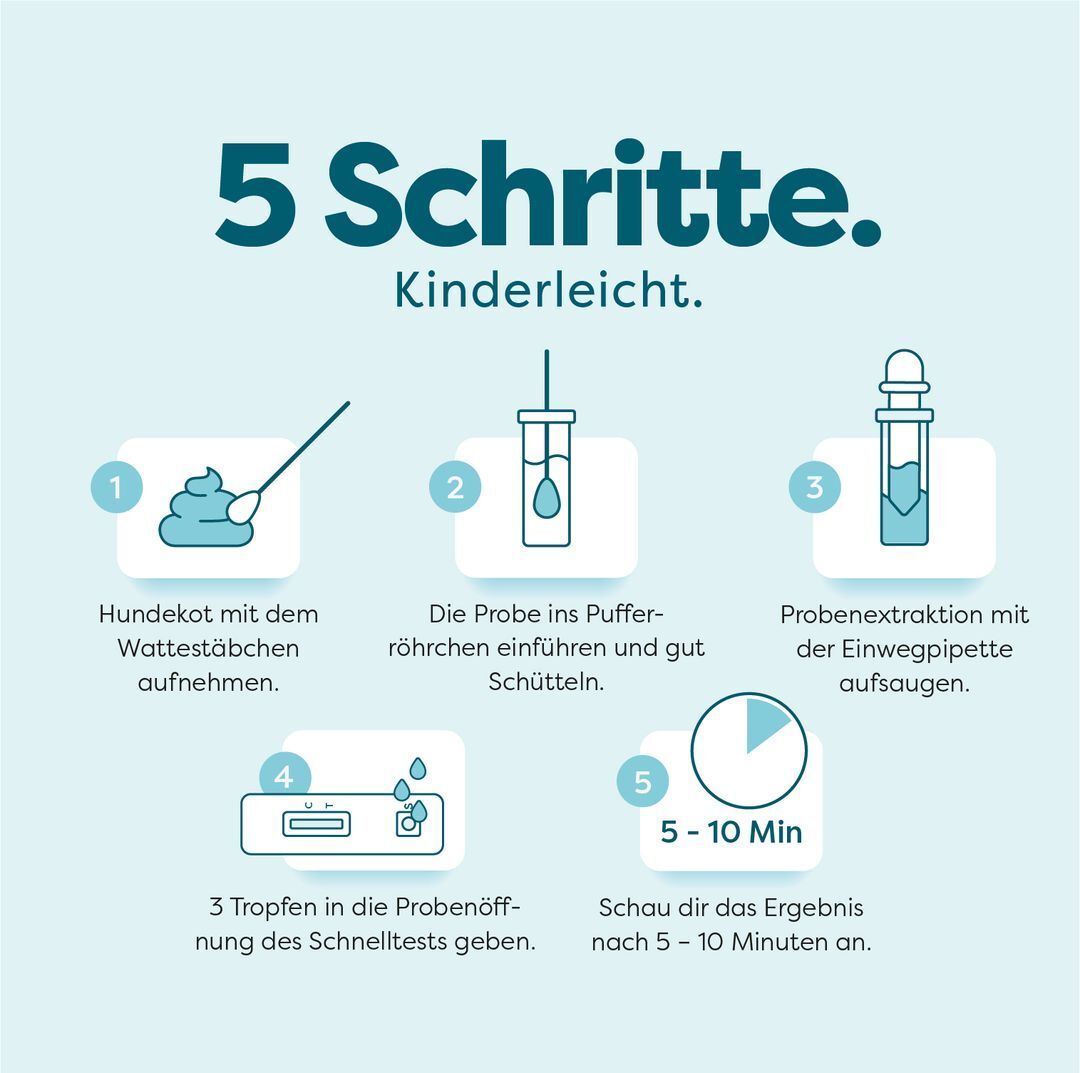 Dr. SAM 10 Minuten Giardien Check - Antigen Selbsttest 2er Set